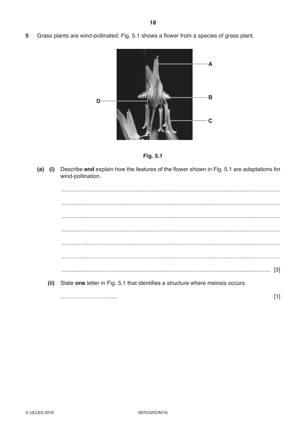 Cambridge IGCSE Biology (9-1) 0970 2019 Oct/Nov Paper 4 · Variant 2 question paper, page 18 of 24