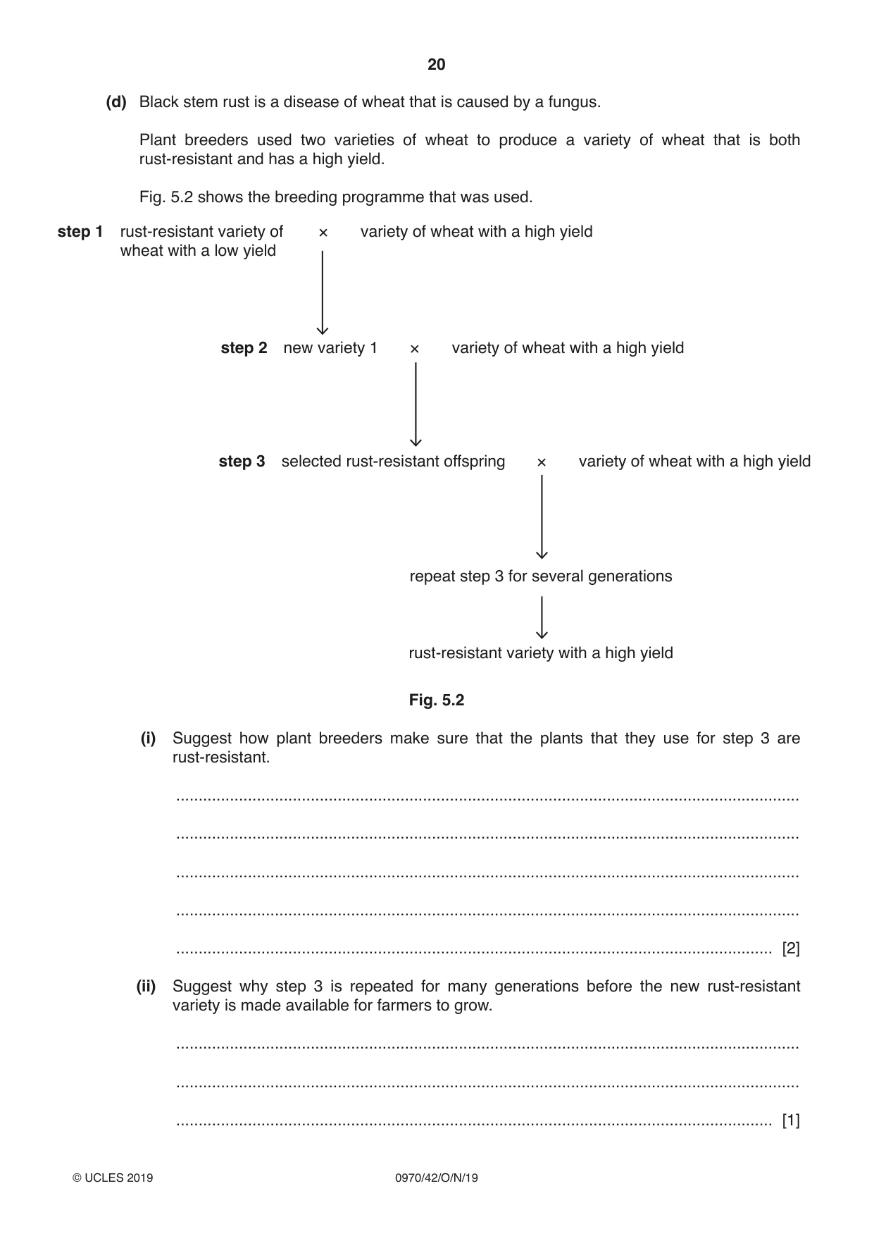 Cambridge IGCSE Biology (9-1) 0970 2019 Oct/Nov Paper 4 · Variant 2 question paper, page 20 of 24