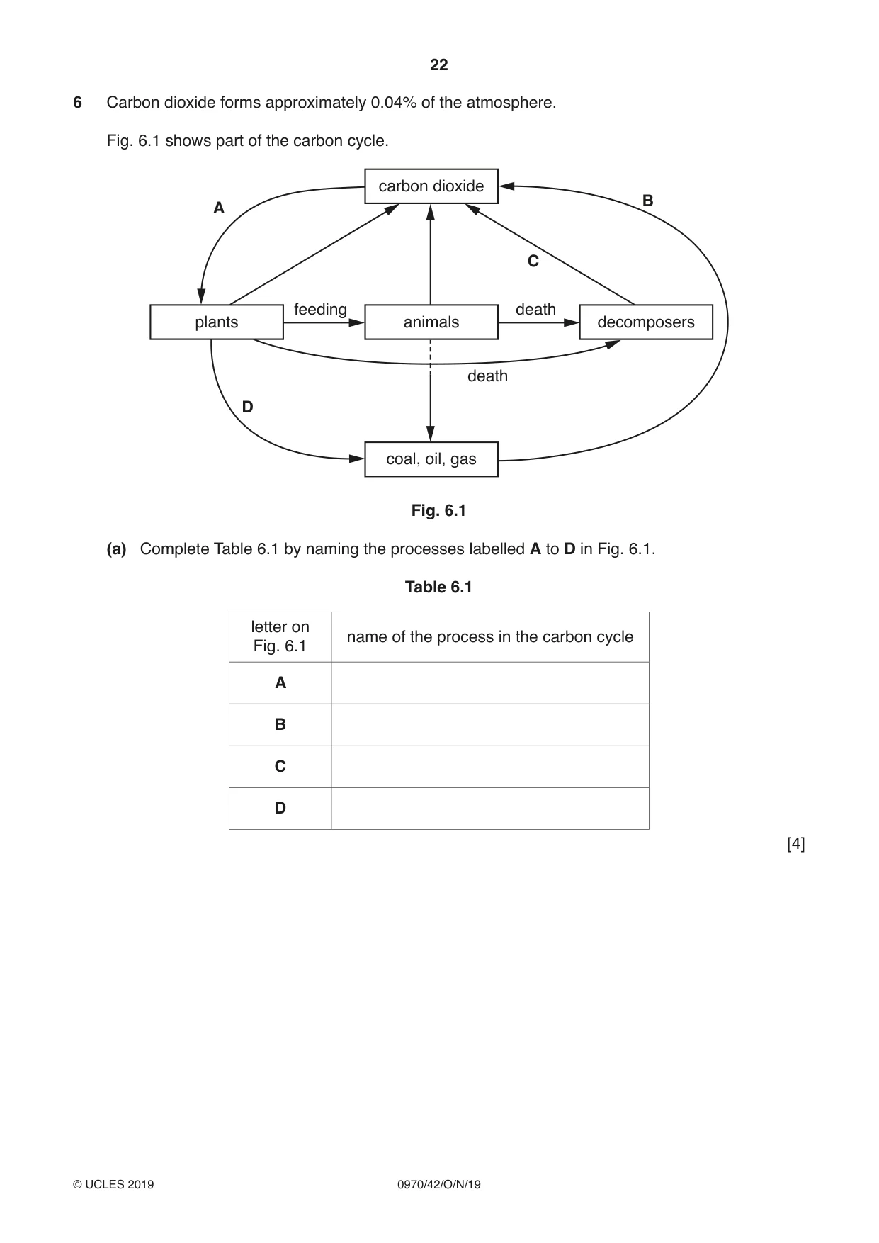 Cambridge IGCSE Biology (9-1) 0970 2019 Oct/Nov Paper 4 · Variant 2 question paper, page 22 of 24