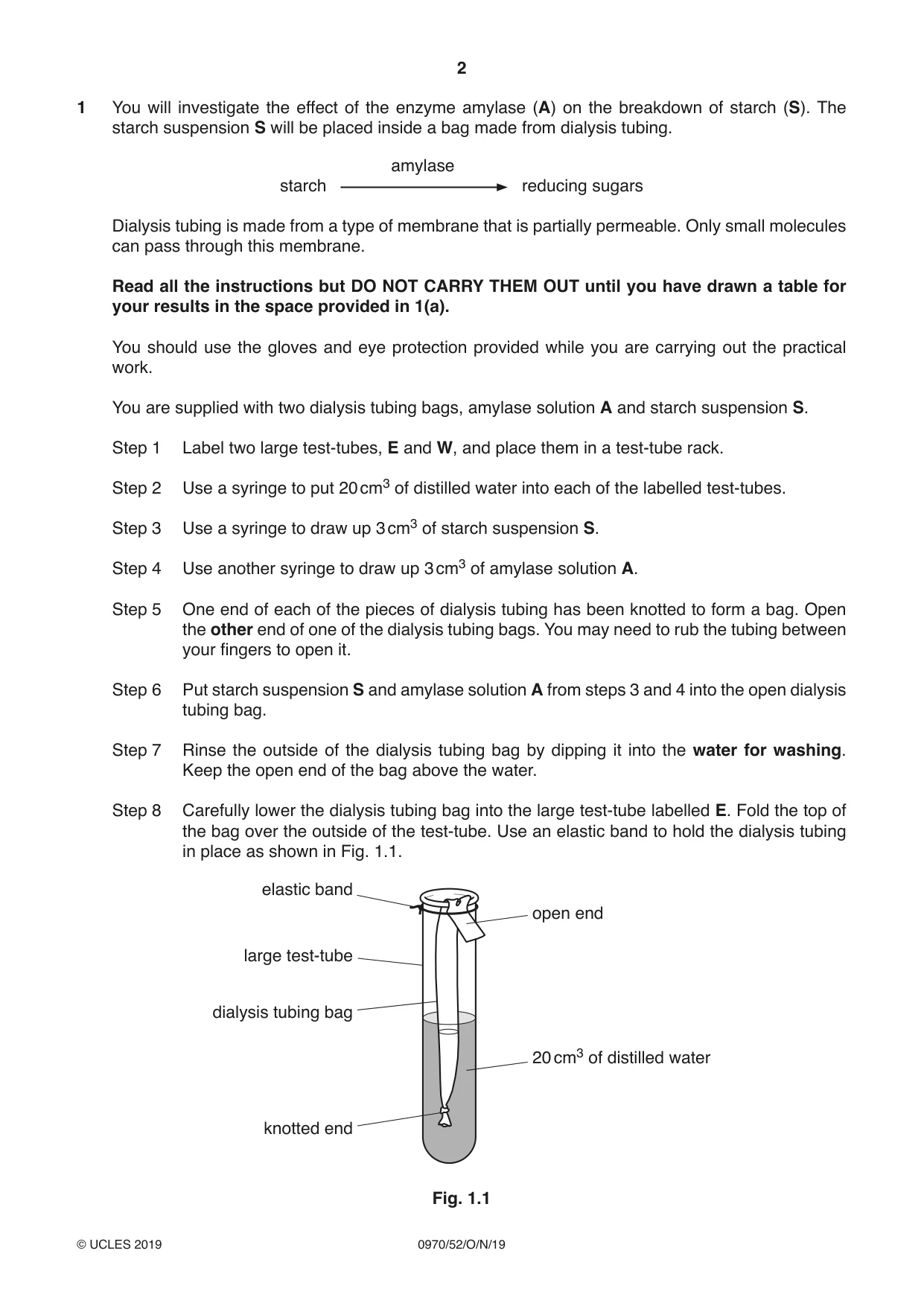 Cambridge IGCSE Biology (9-1) 0970 2019 Oct/Nov Paper 5 · Variant 2 question paper, page 2 of 12