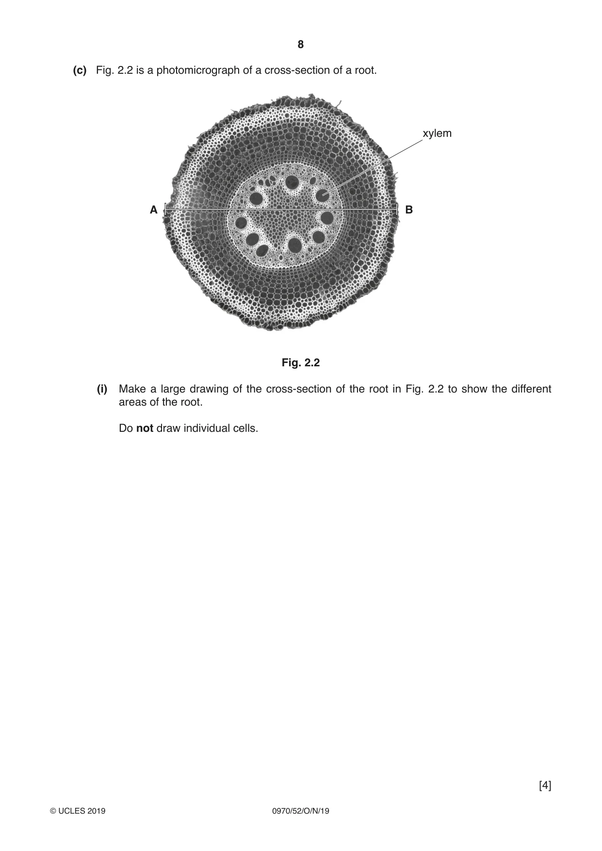 Cambridge IGCSE Biology (9-1) 0970 2019 Oct/Nov Paper 5 · Variant 2 question paper, page 8 of 12