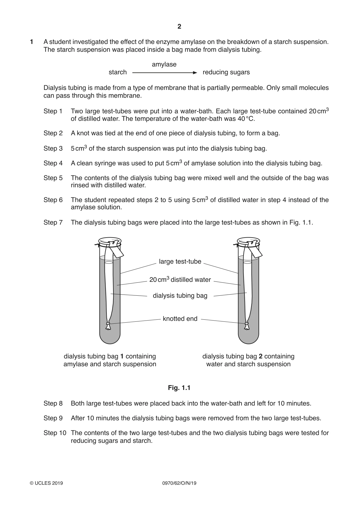 Cambridge IGCSE Biology (9-1) 0970 2019 Oct/Nov Paper 6 · Variant 2 question paper, page 2 of 12