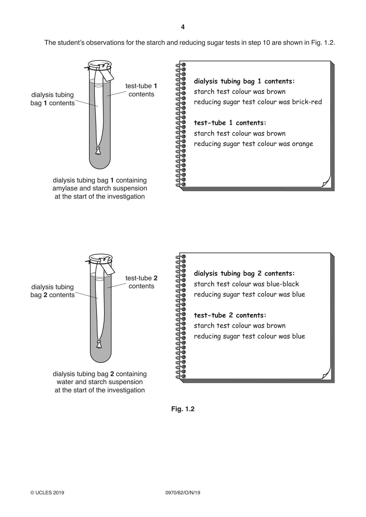 Cambridge IGCSE Biology (9-1) 0970 2019 Oct/Nov Paper 6 · Variant 2 question paper, page 4 of 12