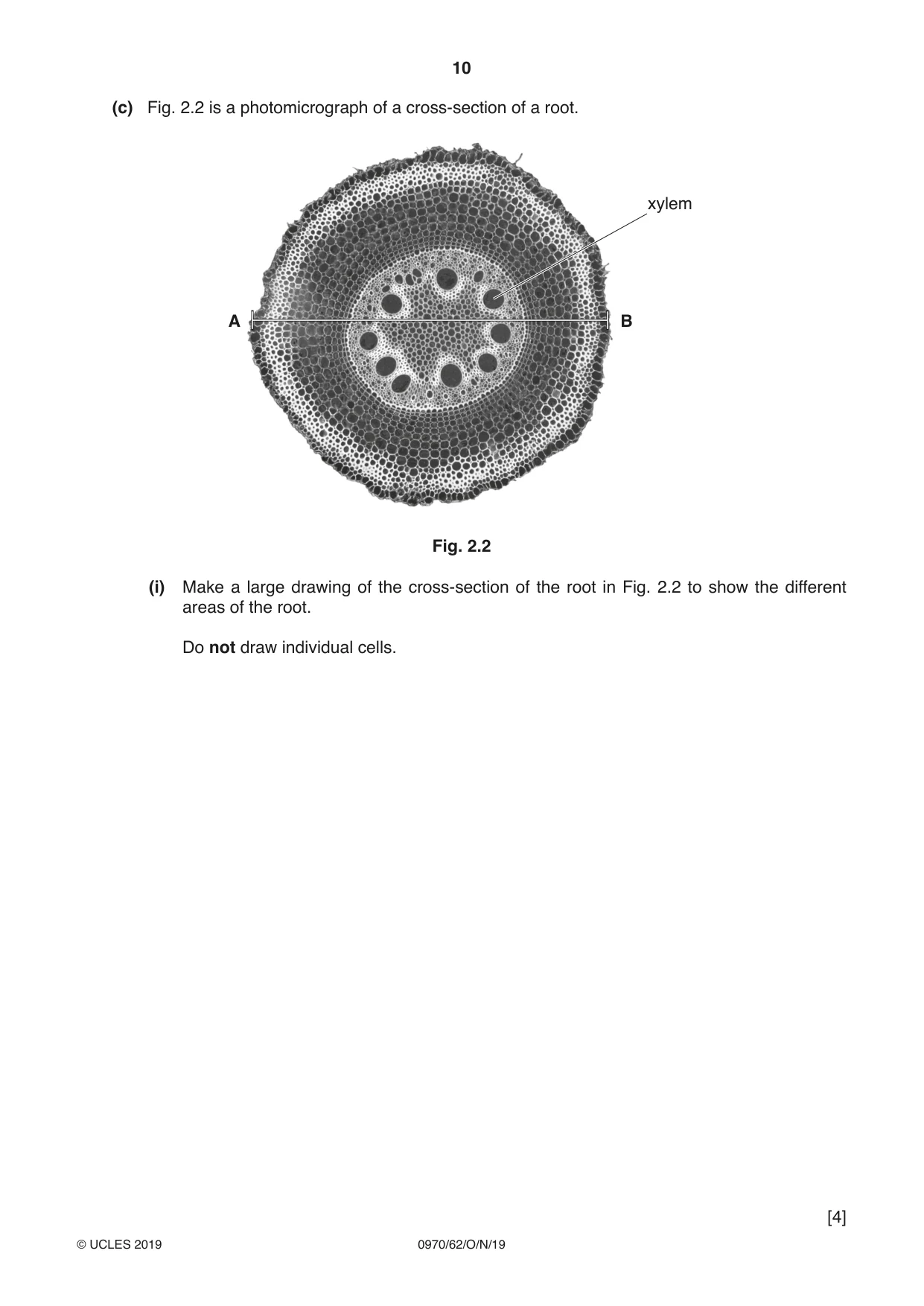 Cambridge IGCSE Biology (9-1) 0970 2019 Oct/Nov Paper 6 · Variant 2 question paper, page 10 of 12
