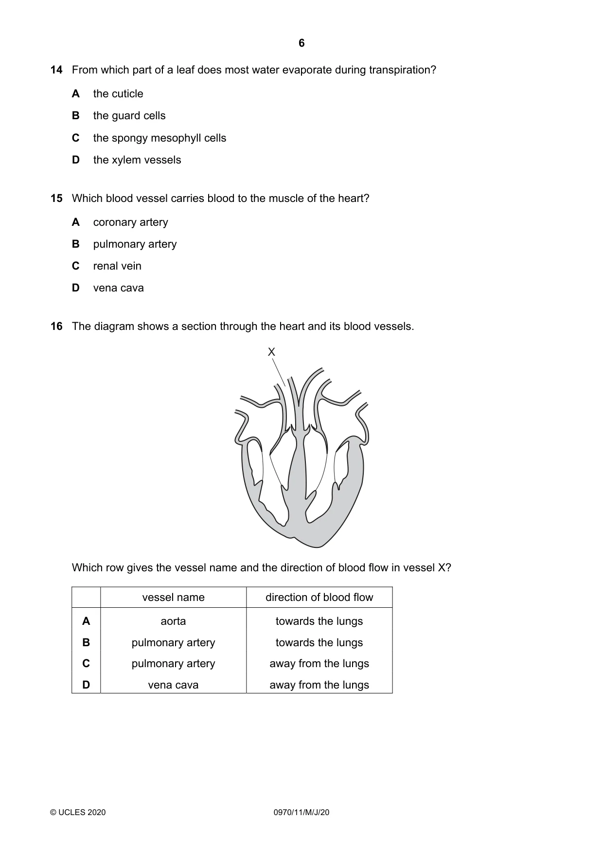 Cambridge IGCSE Biology (9-1) 0970 2020 May/June Paper 1 · Variant 1 question paper, page 6 of 16