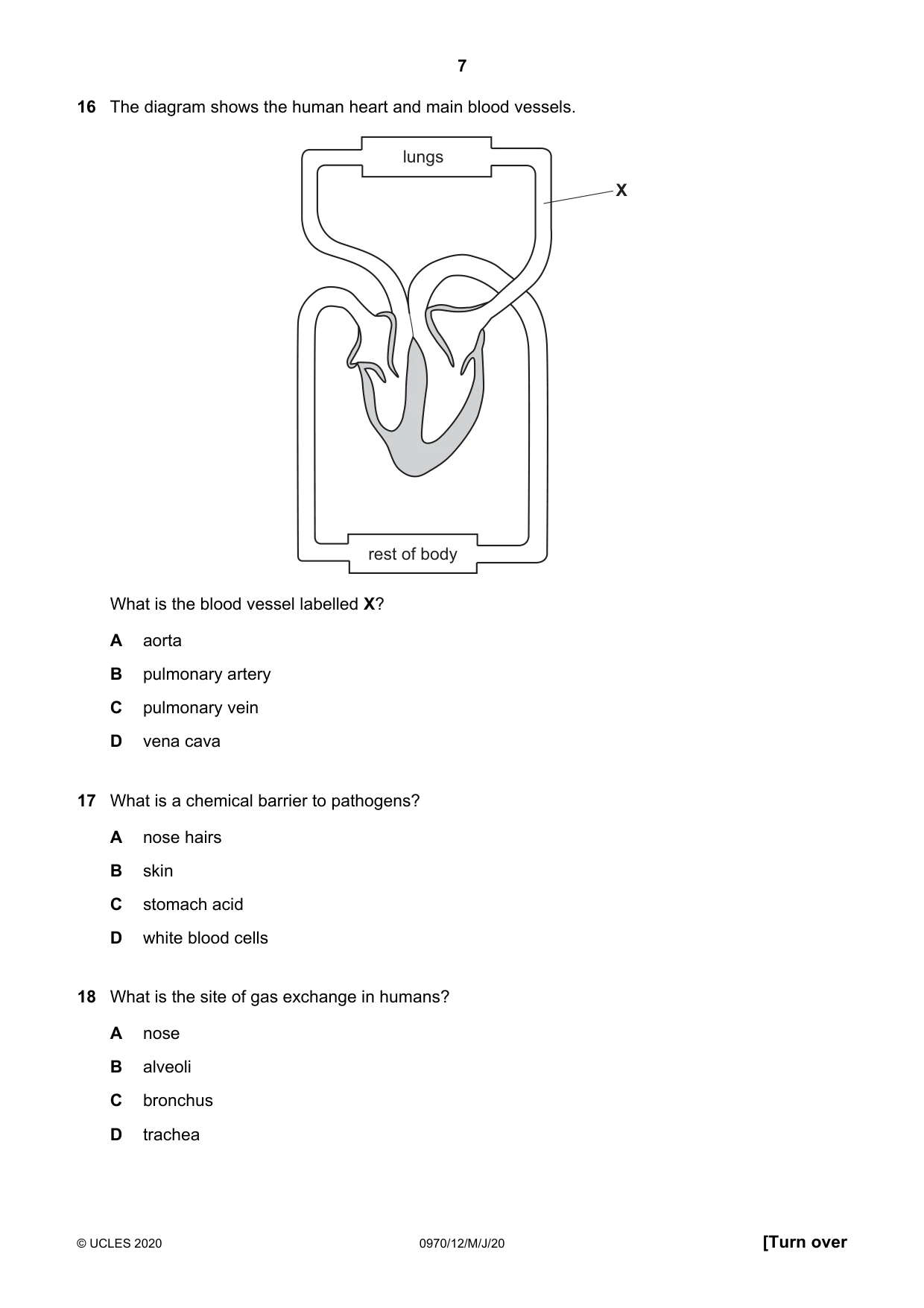 Cambridge IGCSE Biology (9-1) 0970 2020 May/June Paper 1 · Variant 2 question paper, page 7 of 16