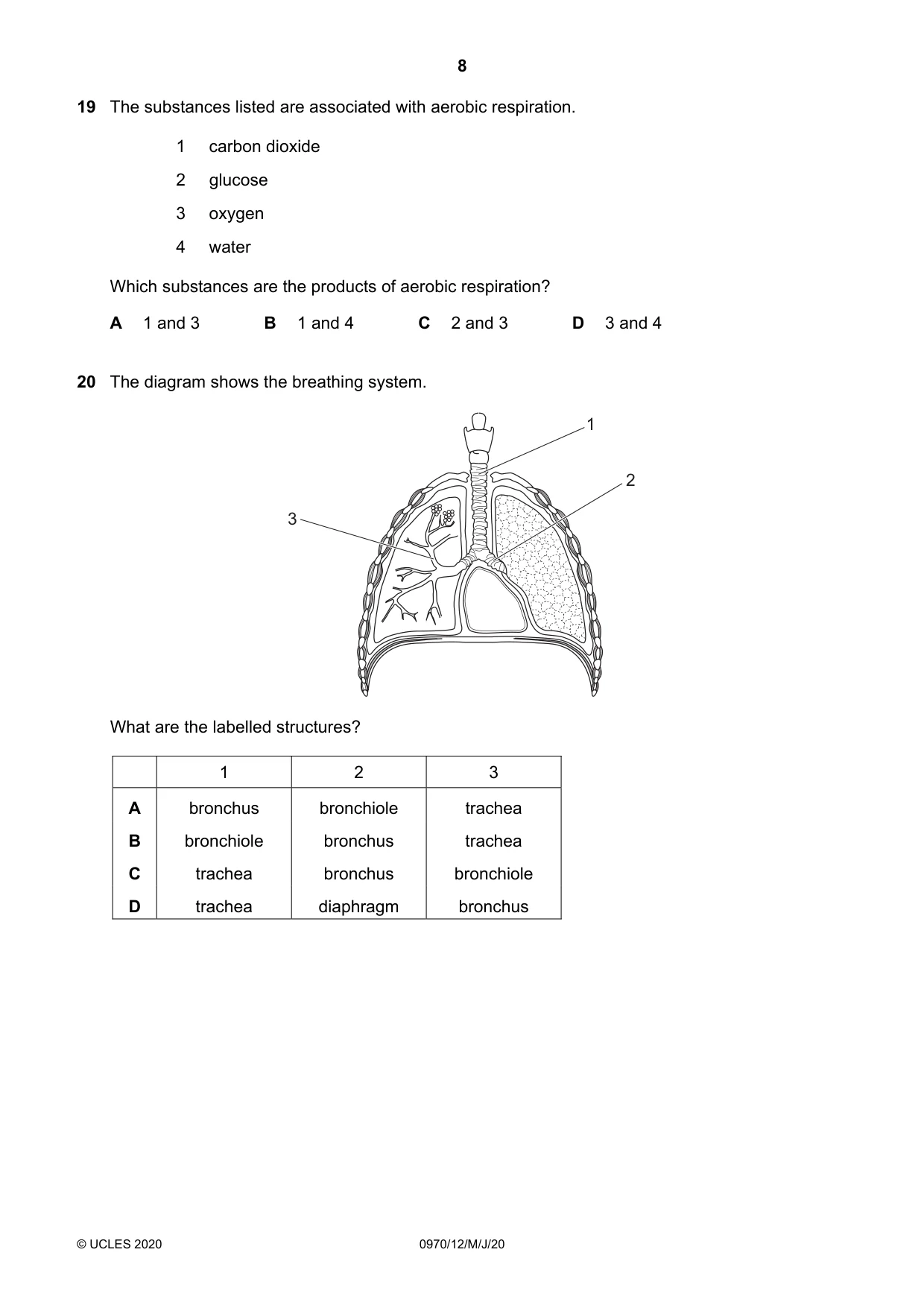 Cambridge IGCSE Biology (9-1) 0970 2020 May/June Paper 1 · Variant 2 question paper, page 8 of 16