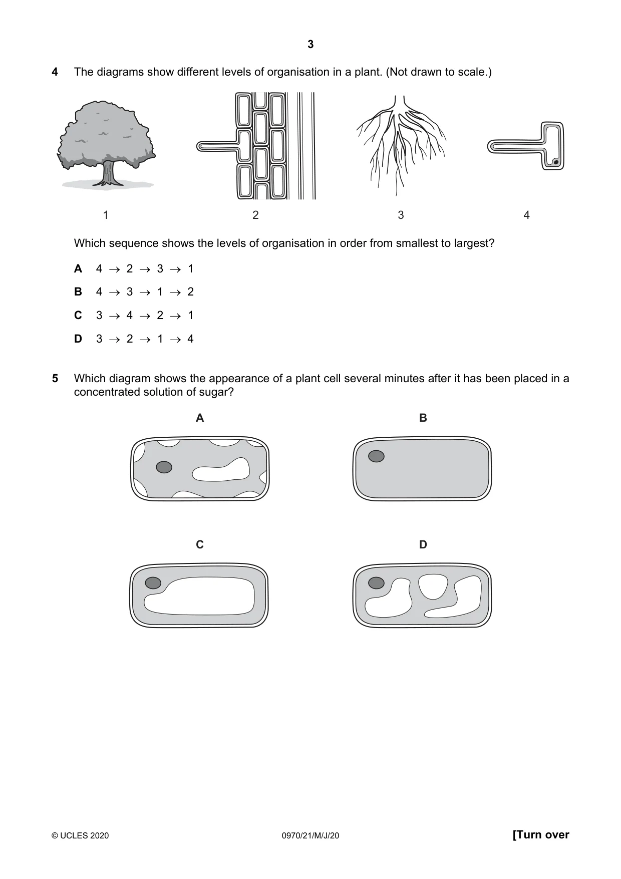 Cambridge IGCSE Biology (9-1) 0970 2020 May/June Paper 2 · Variant 1 question paper, page 3 of 16