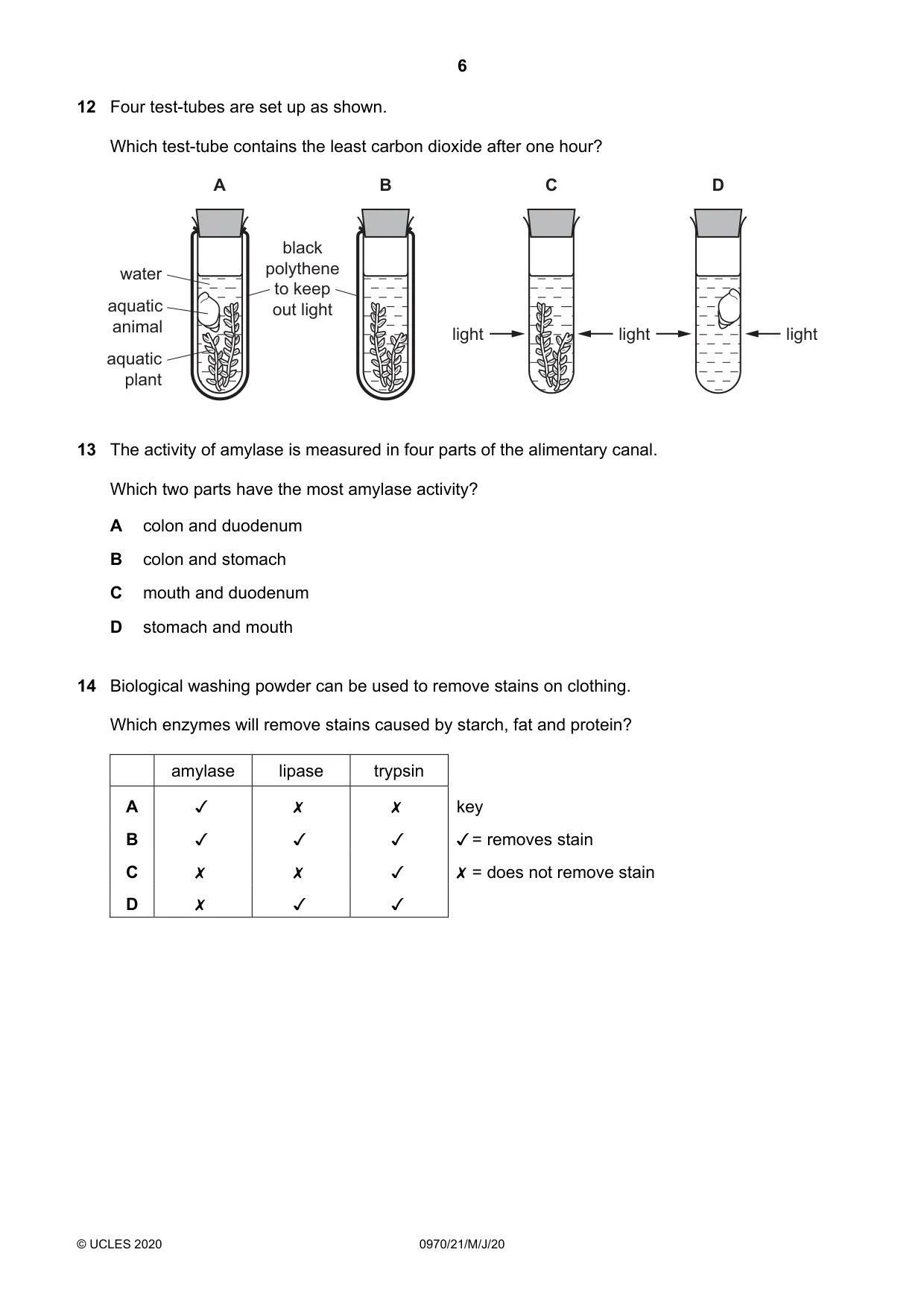 Cambridge IGCSE Biology (9-1) 0970 2020 May/June Paper 2 · Variant 1 question paper, page 6 of 16