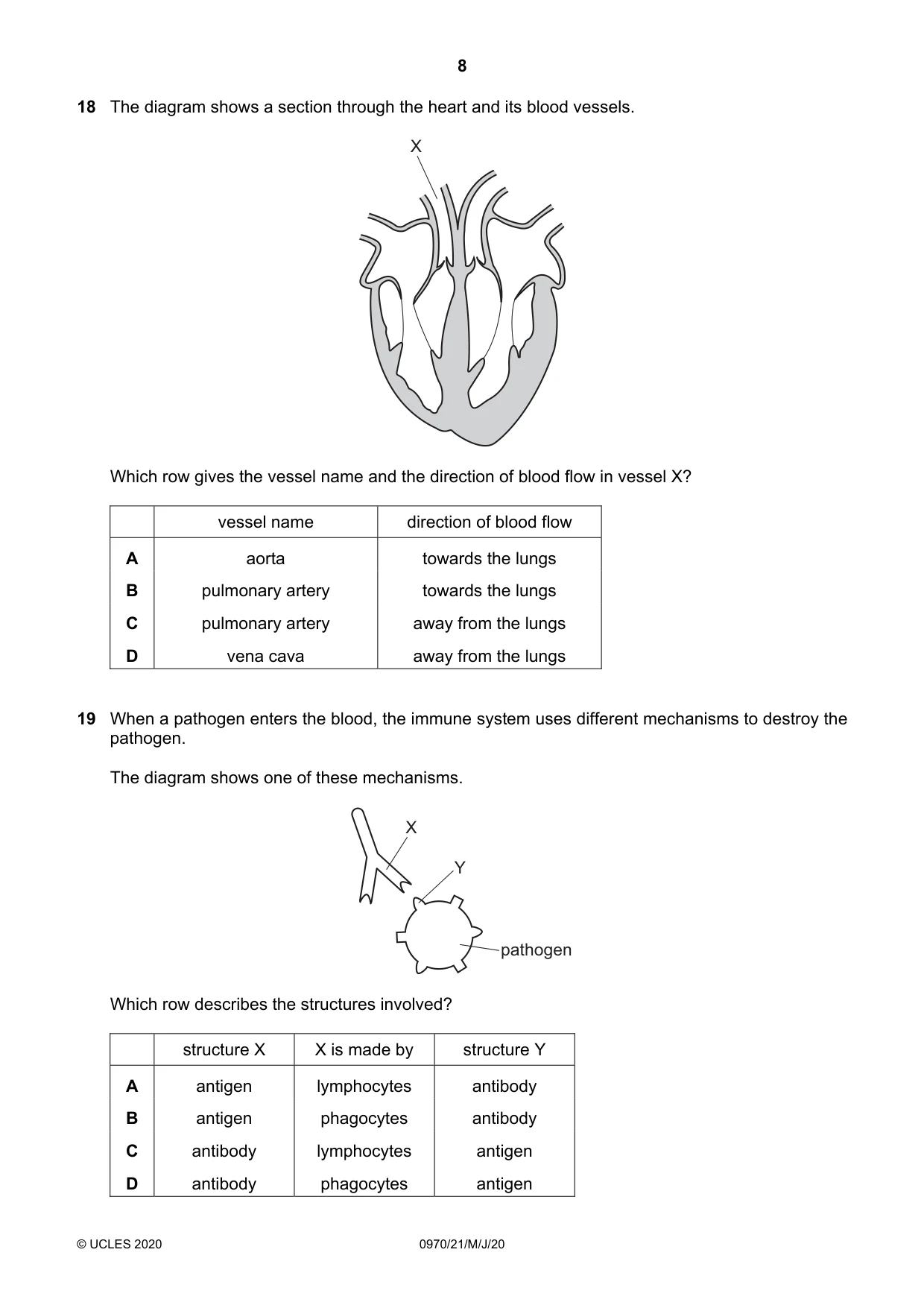 Cambridge IGCSE Biology (9-1) 0970 2020 May/June Paper 2 · Variant 1 question paper, page 8 of 16