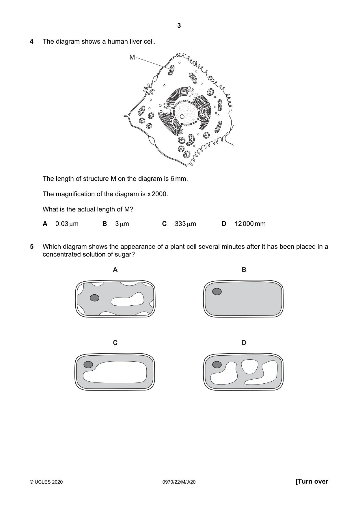 Cambridge IGCSE Biology (9-1) 0970 2020 May/June Paper 2 · Variant 2 question paper, page 3 of 16