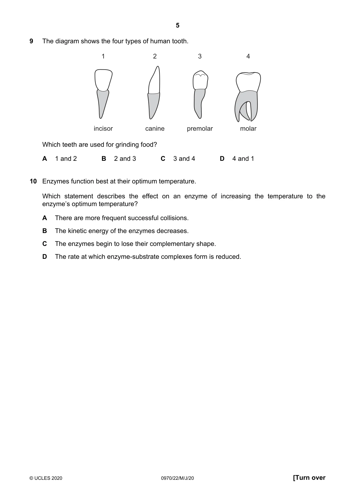 Cambridge IGCSE Biology (9-1) 0970 2020 May/June Paper 2 · Variant 2 question paper, page 5 of 16