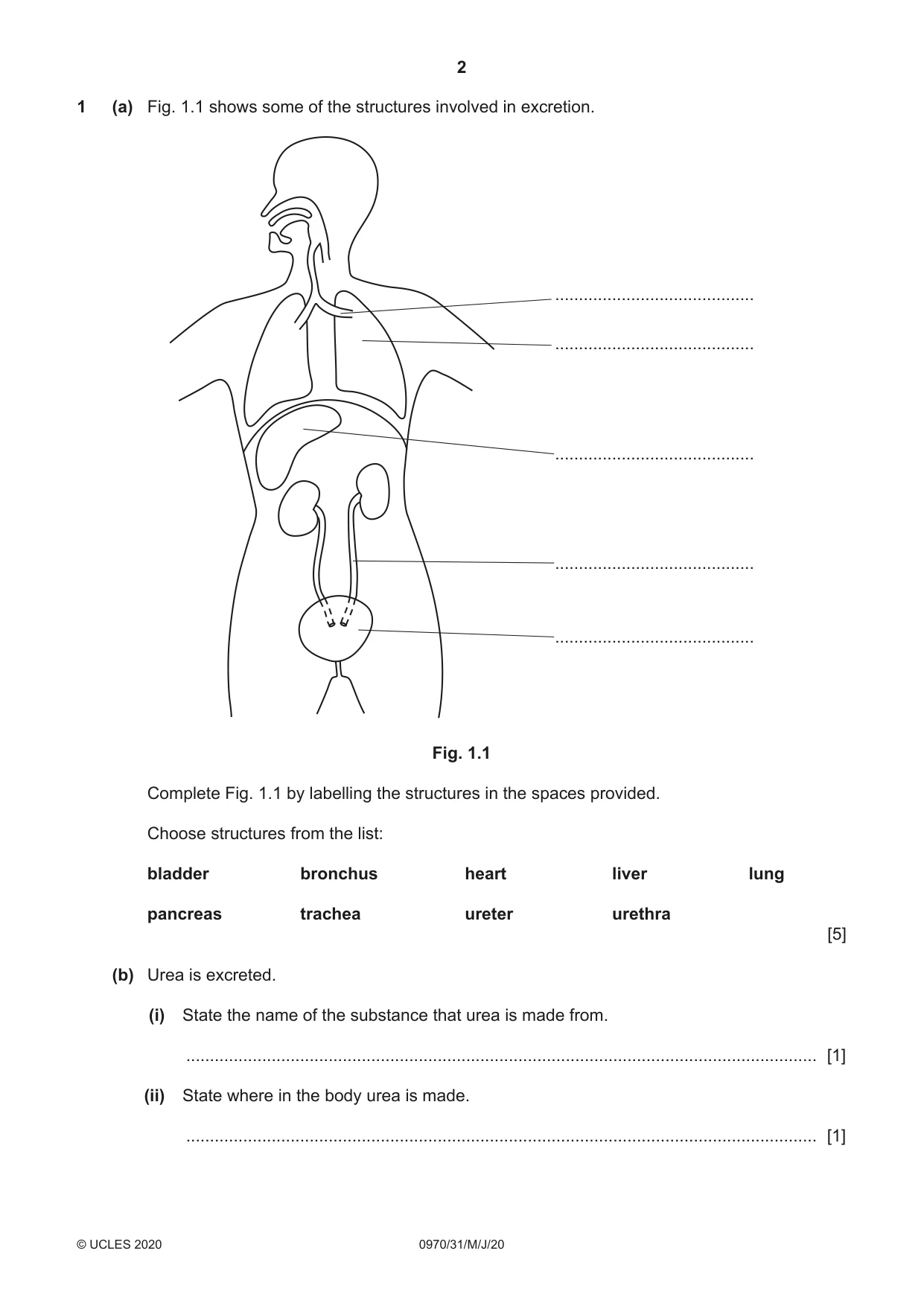 Cambridge IGCSE Biology (9-1) 0970 2020 May/June Paper 3 · Variant 1 question paper, page 2 of 20