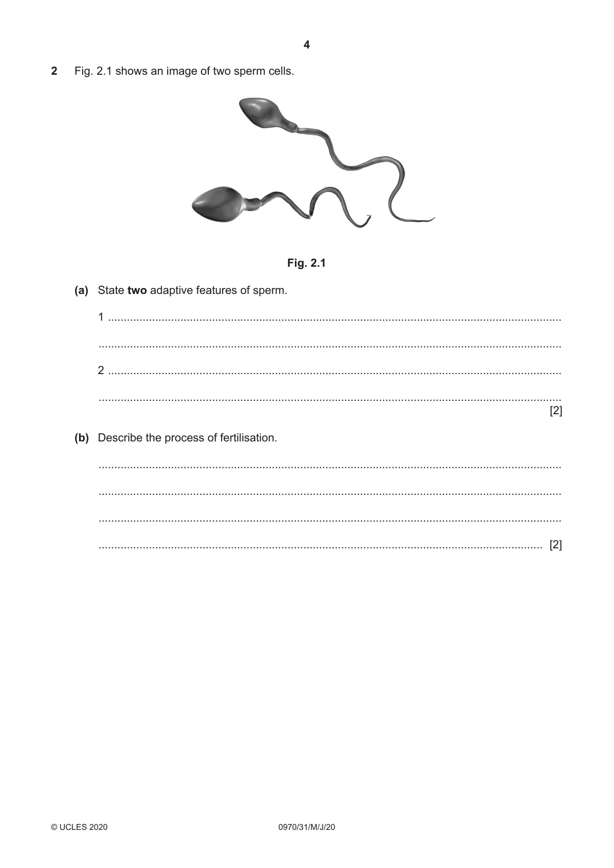 Cambridge IGCSE Biology (9-1) 0970 2020 May/June Paper 3 · Variant 1 question paper, page 4 of 20