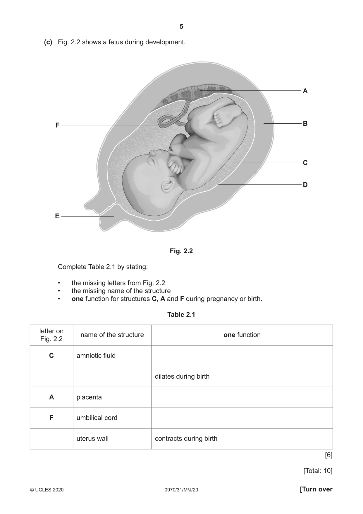 Cambridge IGCSE Biology (9-1) 0970 2020 May/June Paper 3 · Variant 1 question paper, page 5 of 20