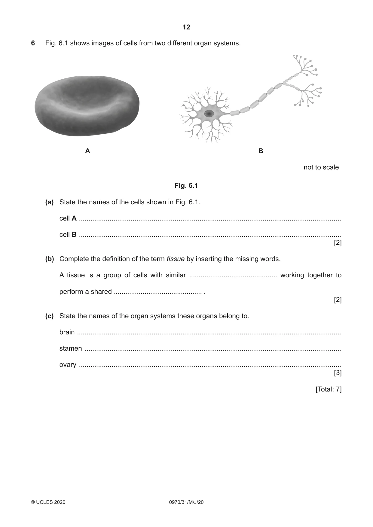 Cambridge IGCSE Biology (9-1) 0970 2020 May/June Paper 3 · Variant 1 question paper, page 12 of 20