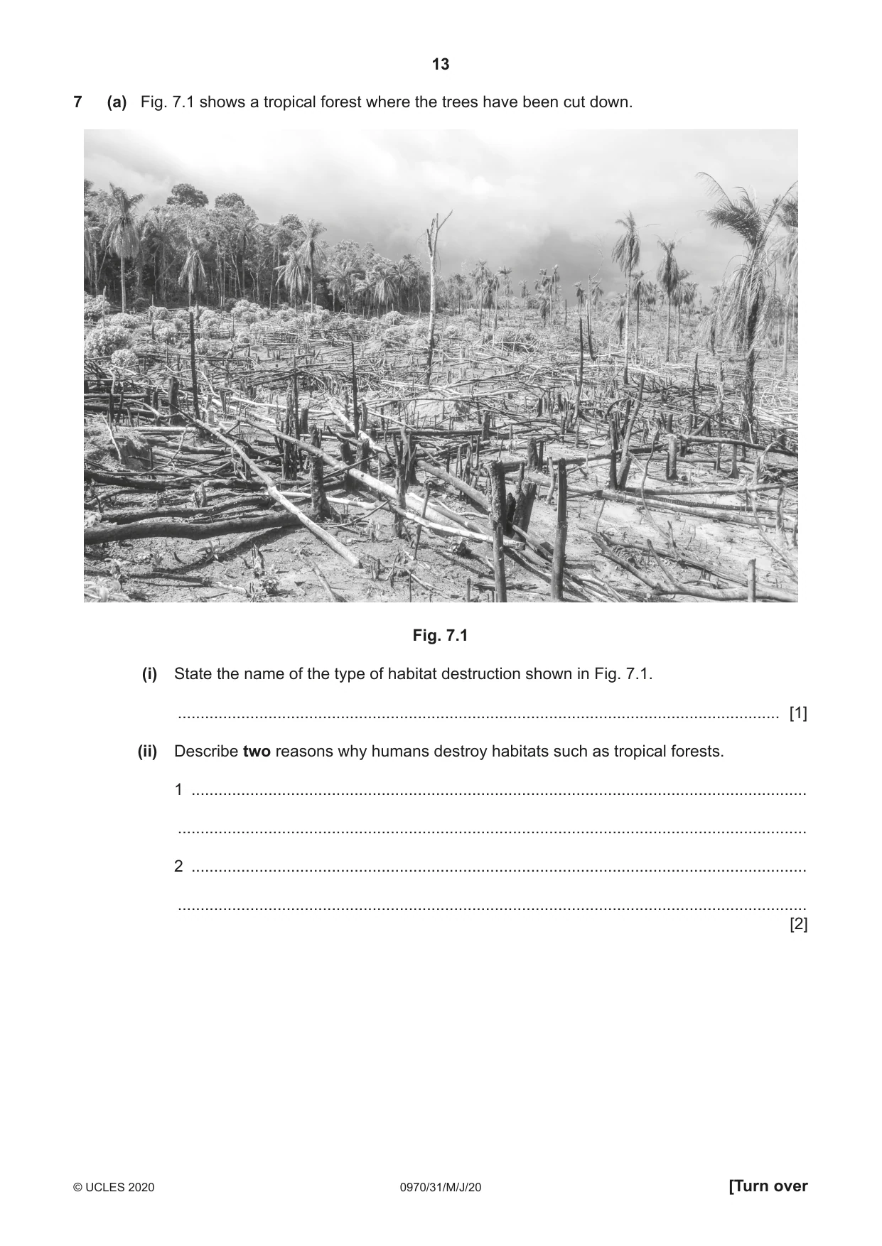 Cambridge IGCSE Biology (9-1) 0970 2020 May/June Paper 3 · Variant 1 question paper, page 13 of 20