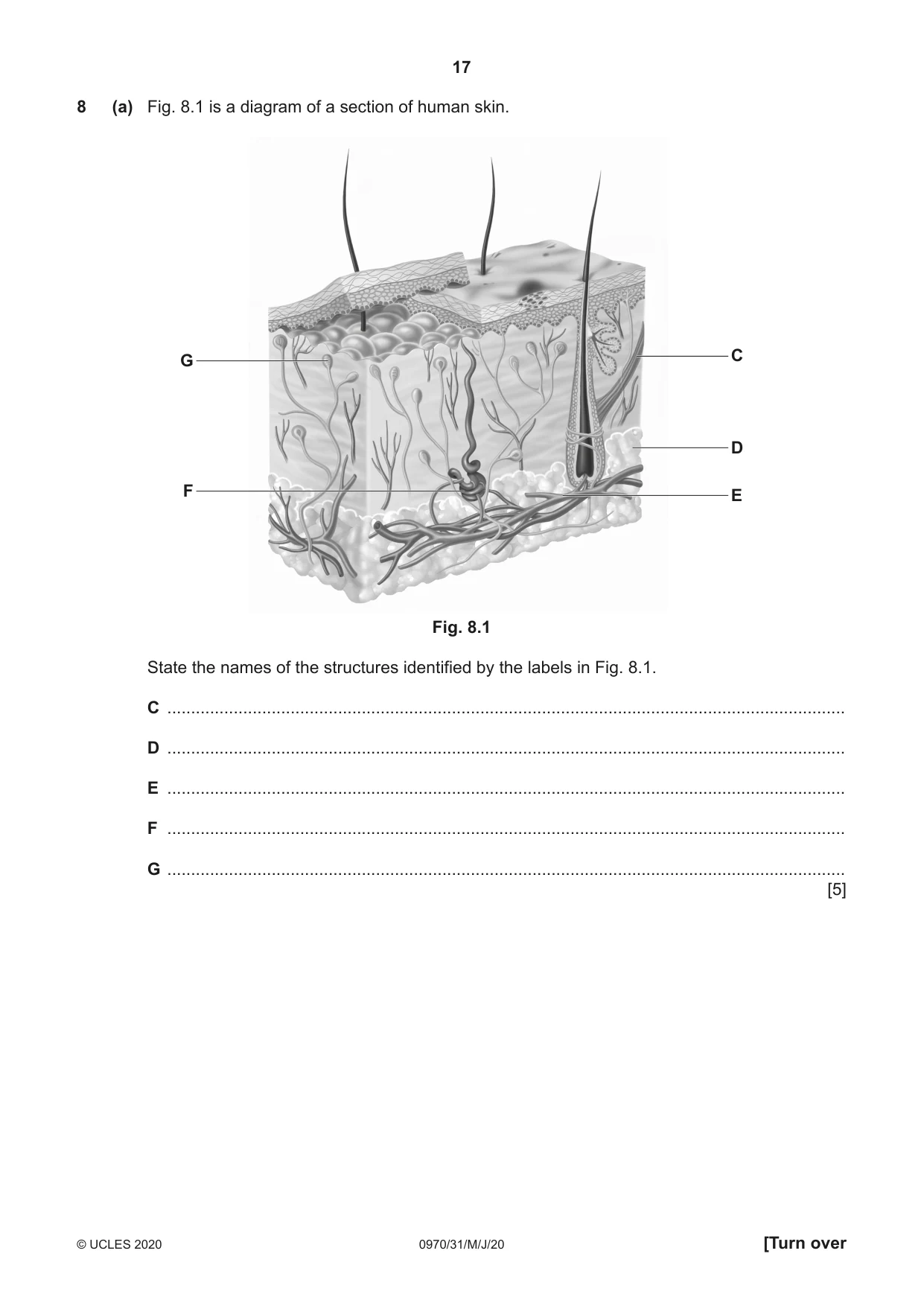 Cambridge IGCSE Biology (9-1) 0970 2020 May/June Paper 3 · Variant 1 question paper, page 17 of 20