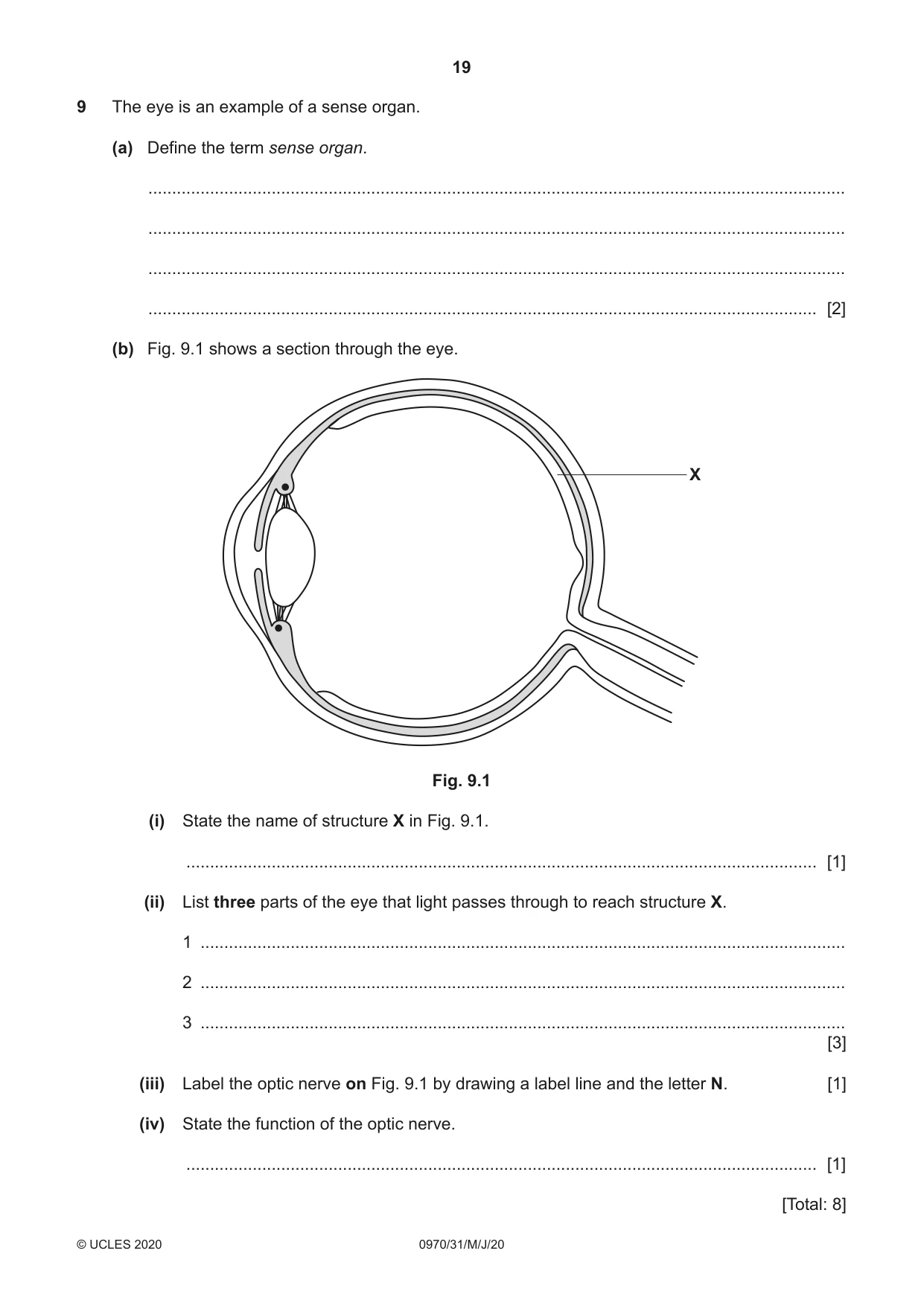 Cambridge IGCSE Biology (9-1) 0970 2020 May/June Paper 3 · Variant 1 question paper, page 19 of 20