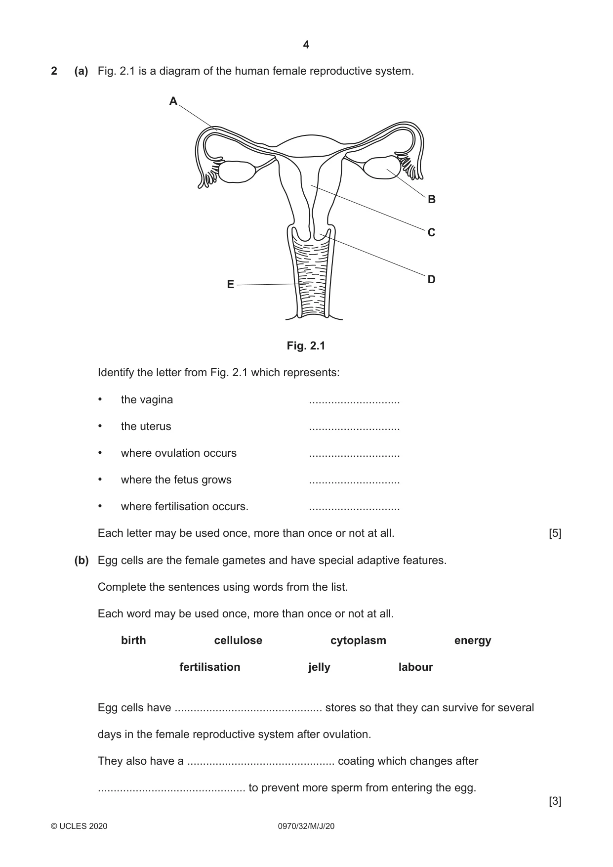 Cambridge IGCSE Biology (9-1) 0970 2020 May/June Paper 3 · Variant 2 question paper, page 4 of 20