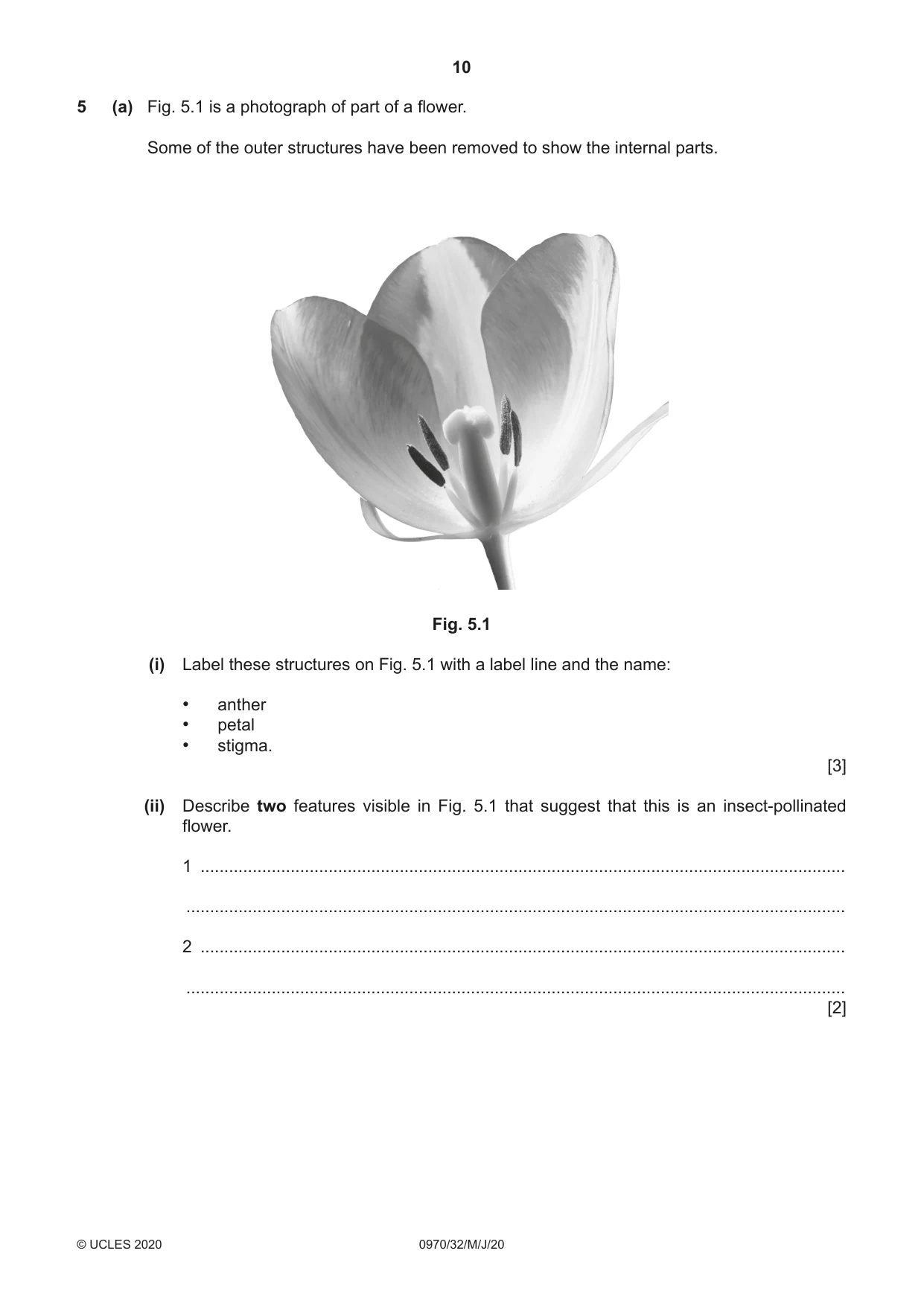 Cambridge IGCSE Biology (9-1) 0970 2020 May/June Paper 3 · Variant 2 question paper, page 10 of 20