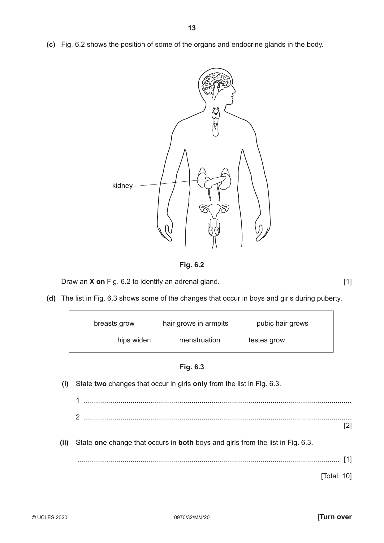 Cambridge IGCSE Biology (9-1) 0970 2020 May/June Paper 3 · Variant 2 question paper, page 13 of 20