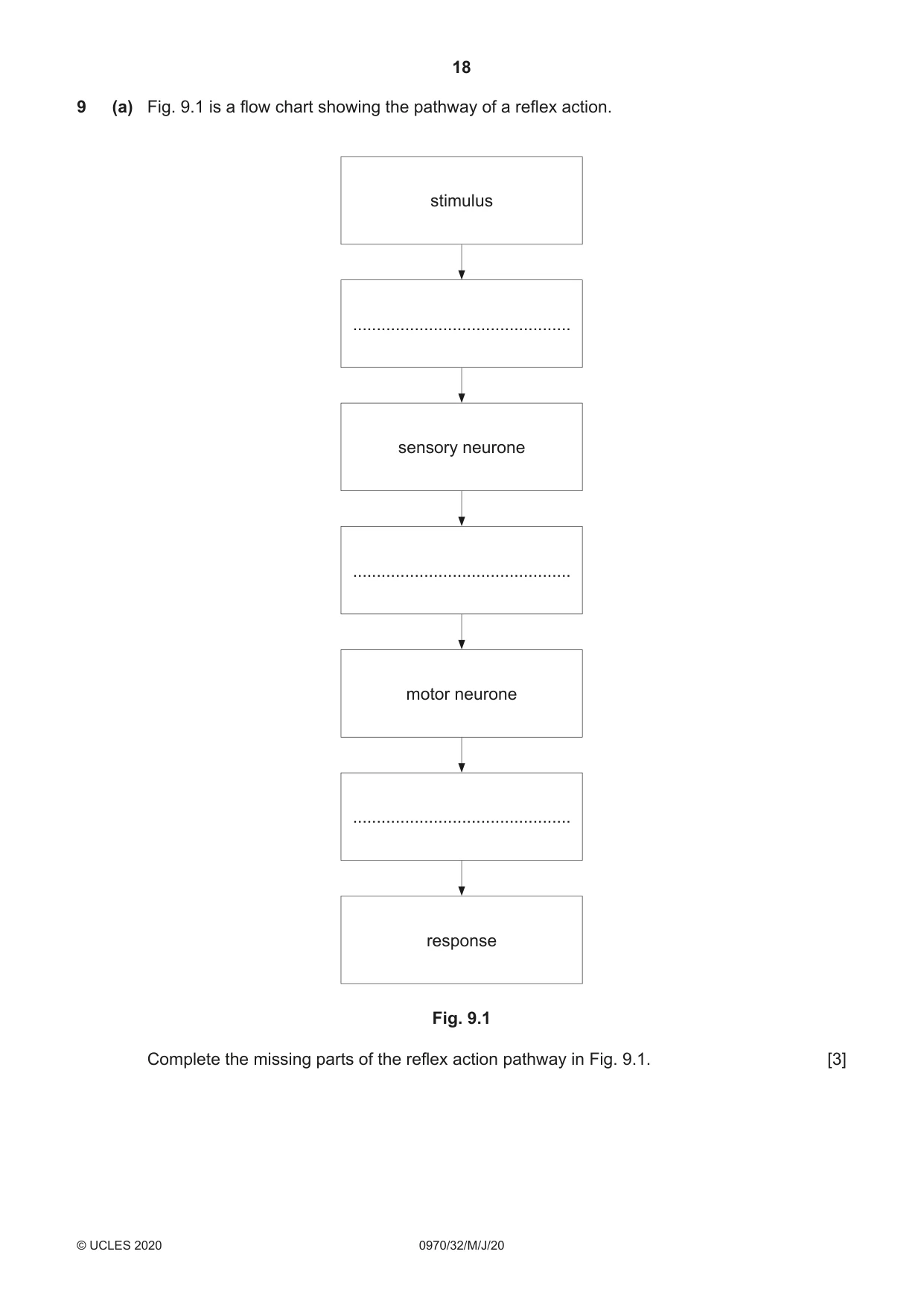 Cambridge IGCSE Biology (9-1) 0970 2020 May/June Paper 3 · Variant 2 question paper, page 18 of 20