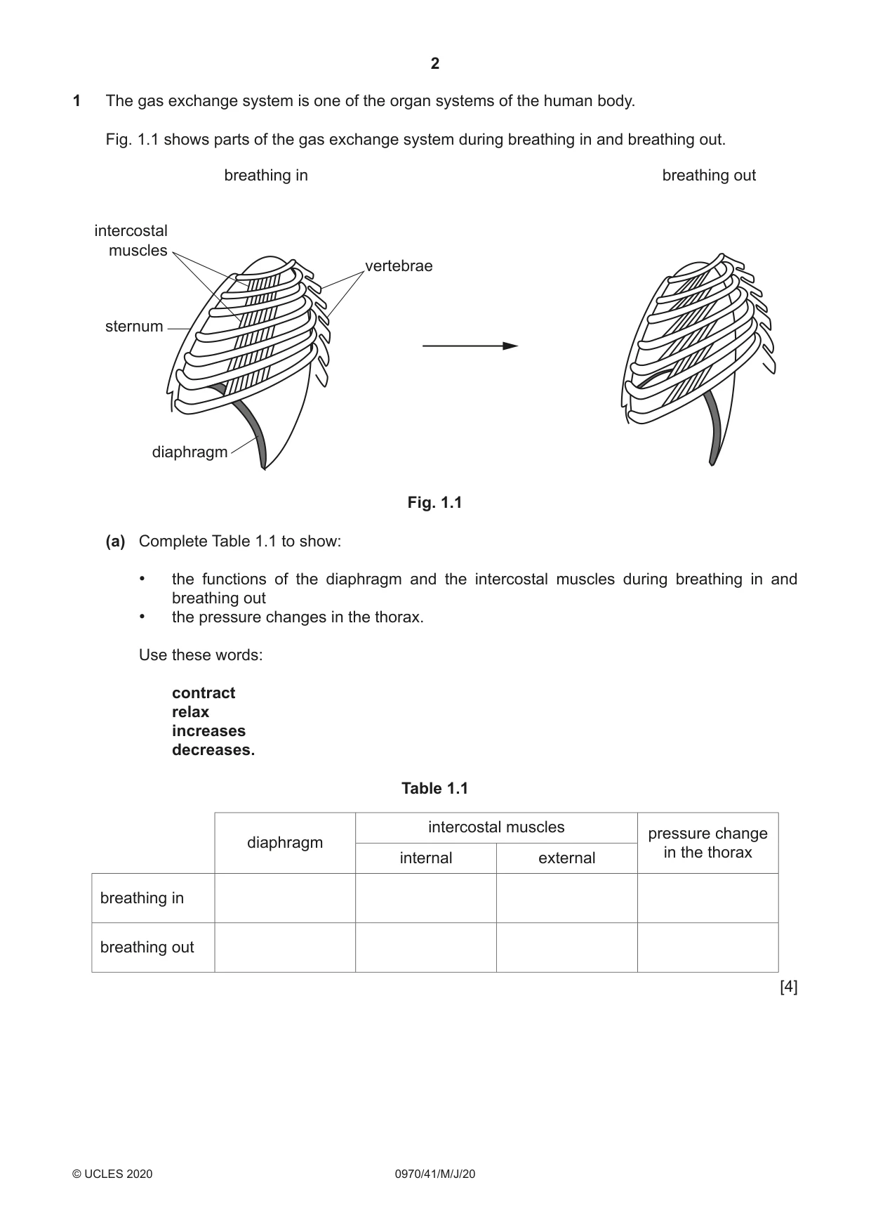 Cambridge IGCSE Biology (9-1) 0970 2020 May/June Paper 4 · Variant 1 question paper, page 2 of 20