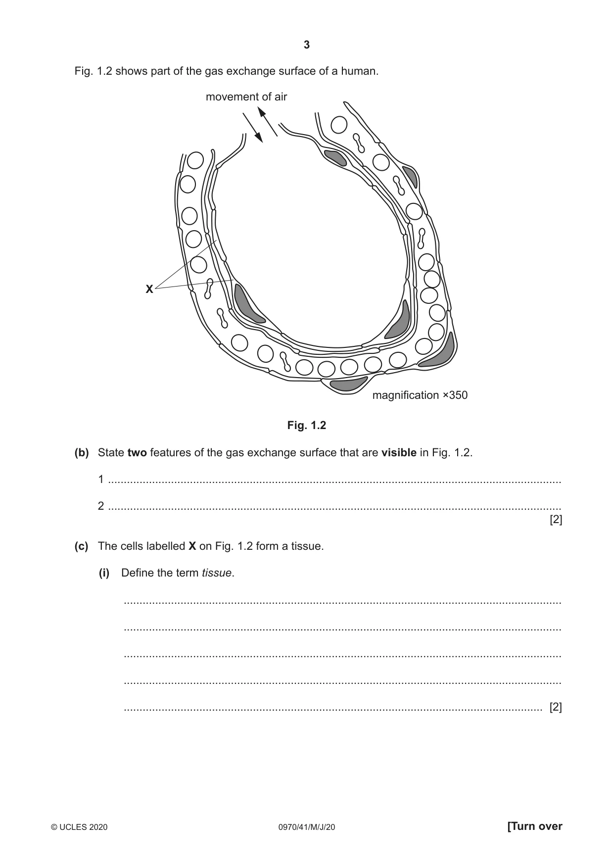 Cambridge IGCSE Biology (9-1) 0970 2020 May/June Paper 4 · Variant 1 question paper, page 3 of 20