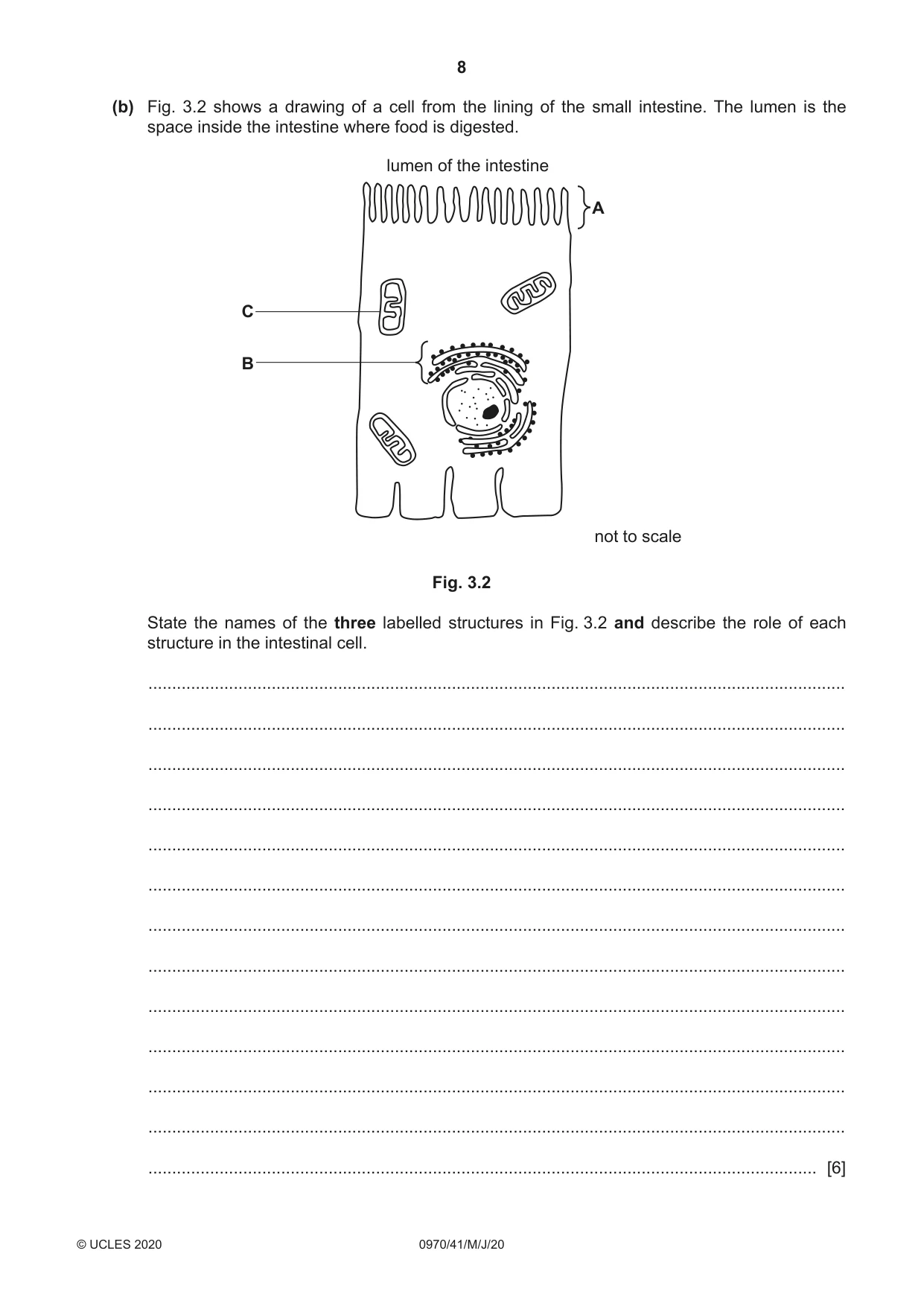 Cambridge IGCSE Biology (9-1) 0970 2020 May/June Paper 4 · Variant 1 question paper, page 8 of 20