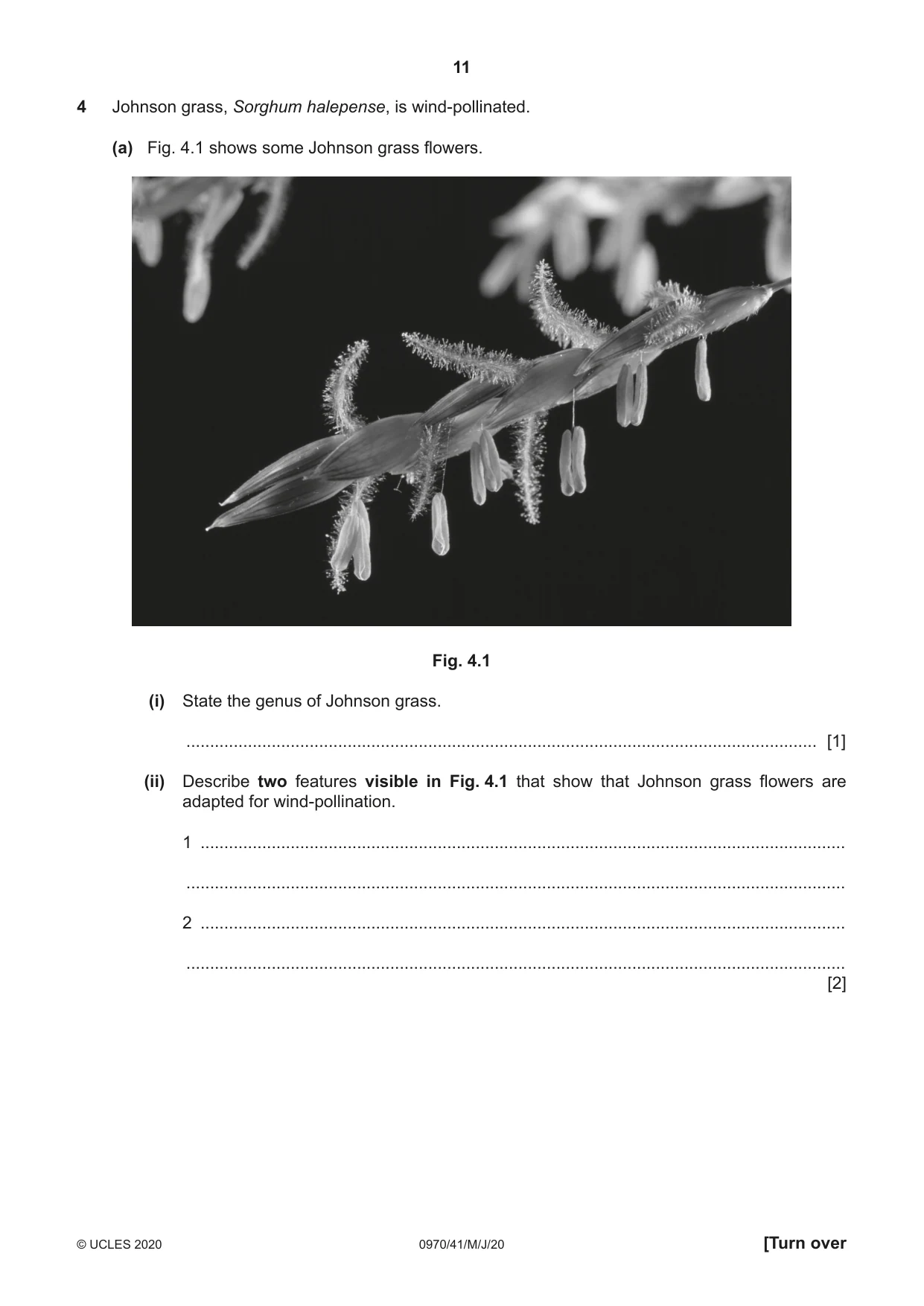 Cambridge IGCSE Biology (9-1) 0970 2020 May/June Paper 4 · Variant 1 question paper, page 11 of 20