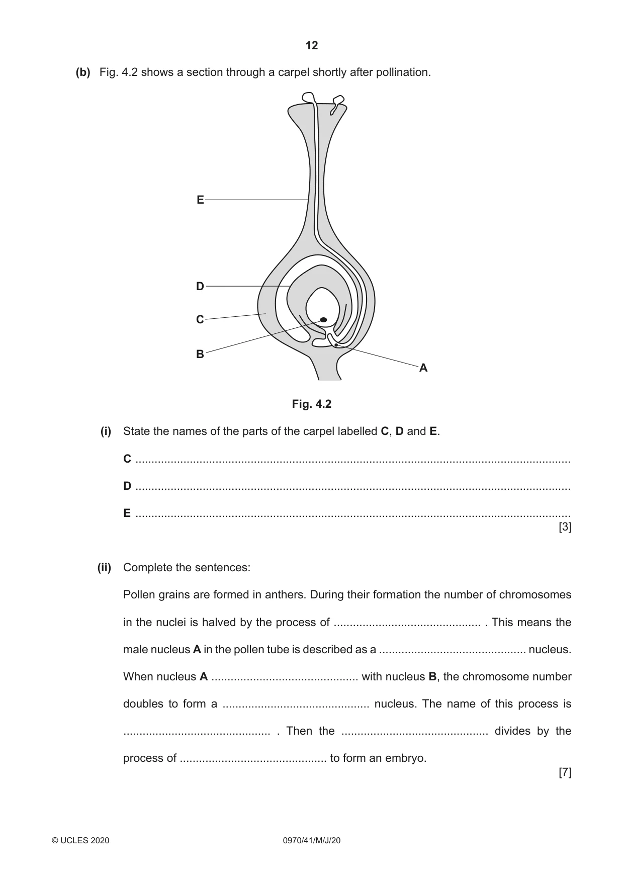 Cambridge IGCSE Biology (9-1) 0970 2020 May/June Paper 4 · Variant 1 question paper, page 12 of 20