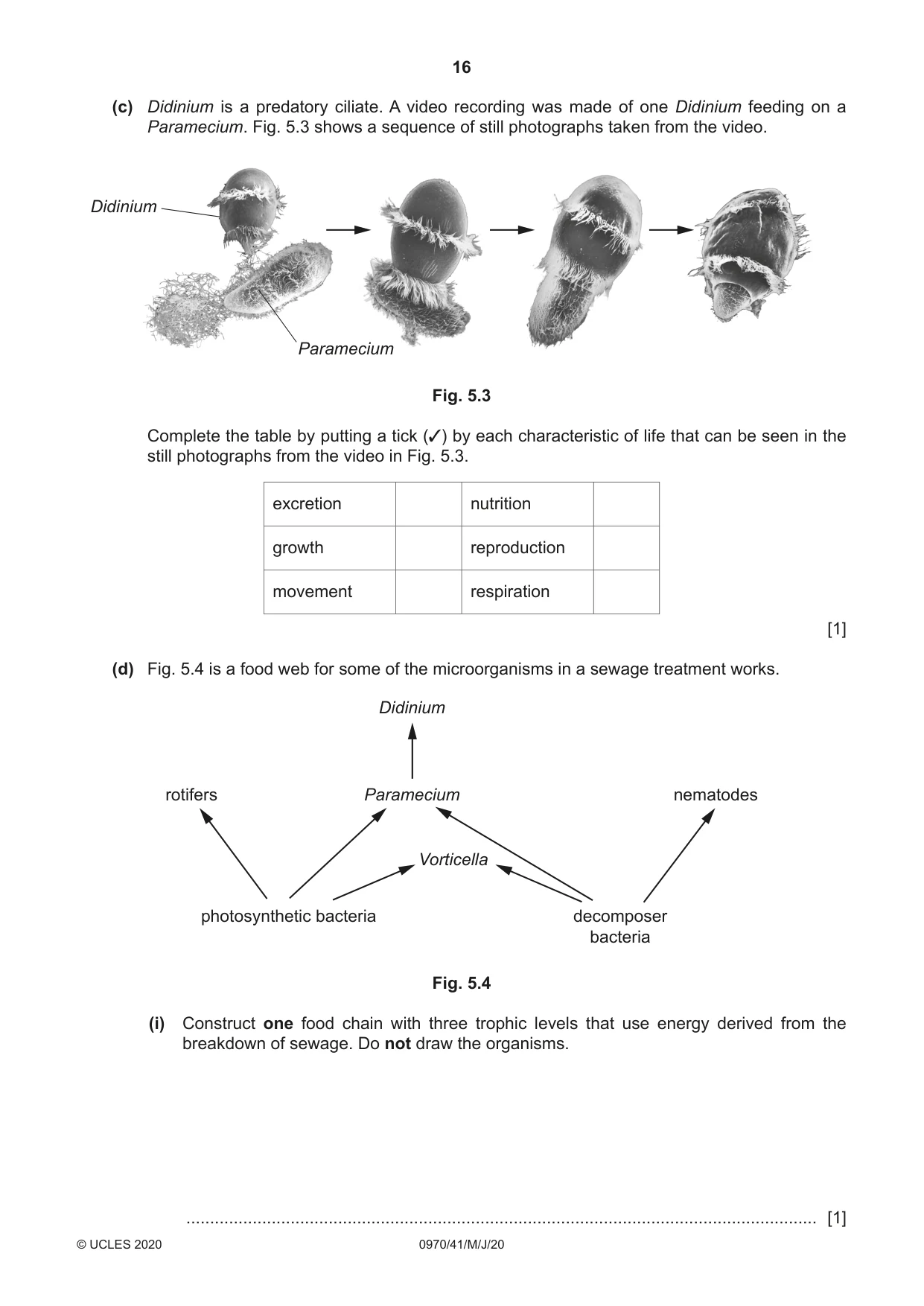 Cambridge IGCSE Biology (9-1) 0970 2020 May/June Paper 4 · Variant 1 question paper, page 16 of 20