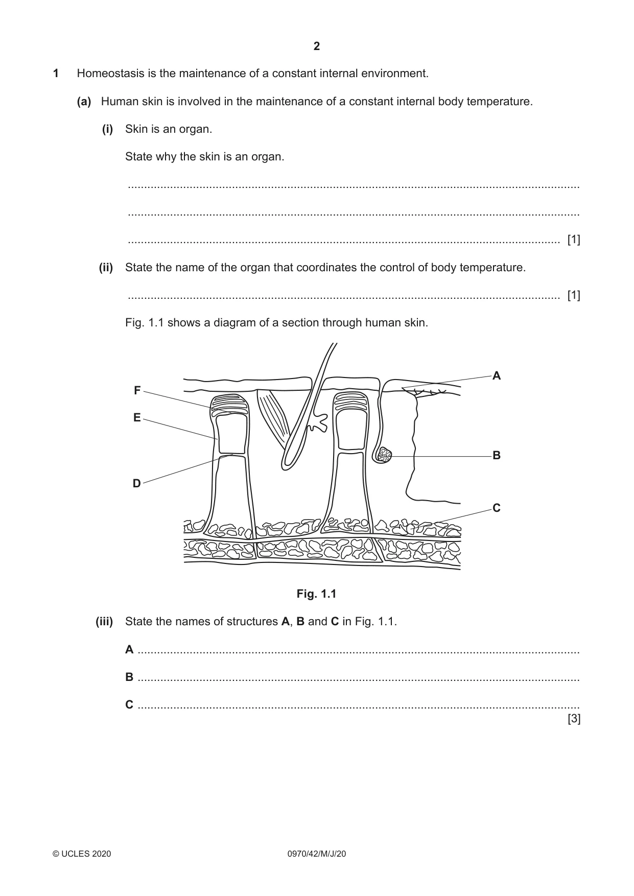 Cambridge IGCSE Biology (9-1) 0970 2020 May/June Paper 4 · Variant 2 question paper, page 2 of 24