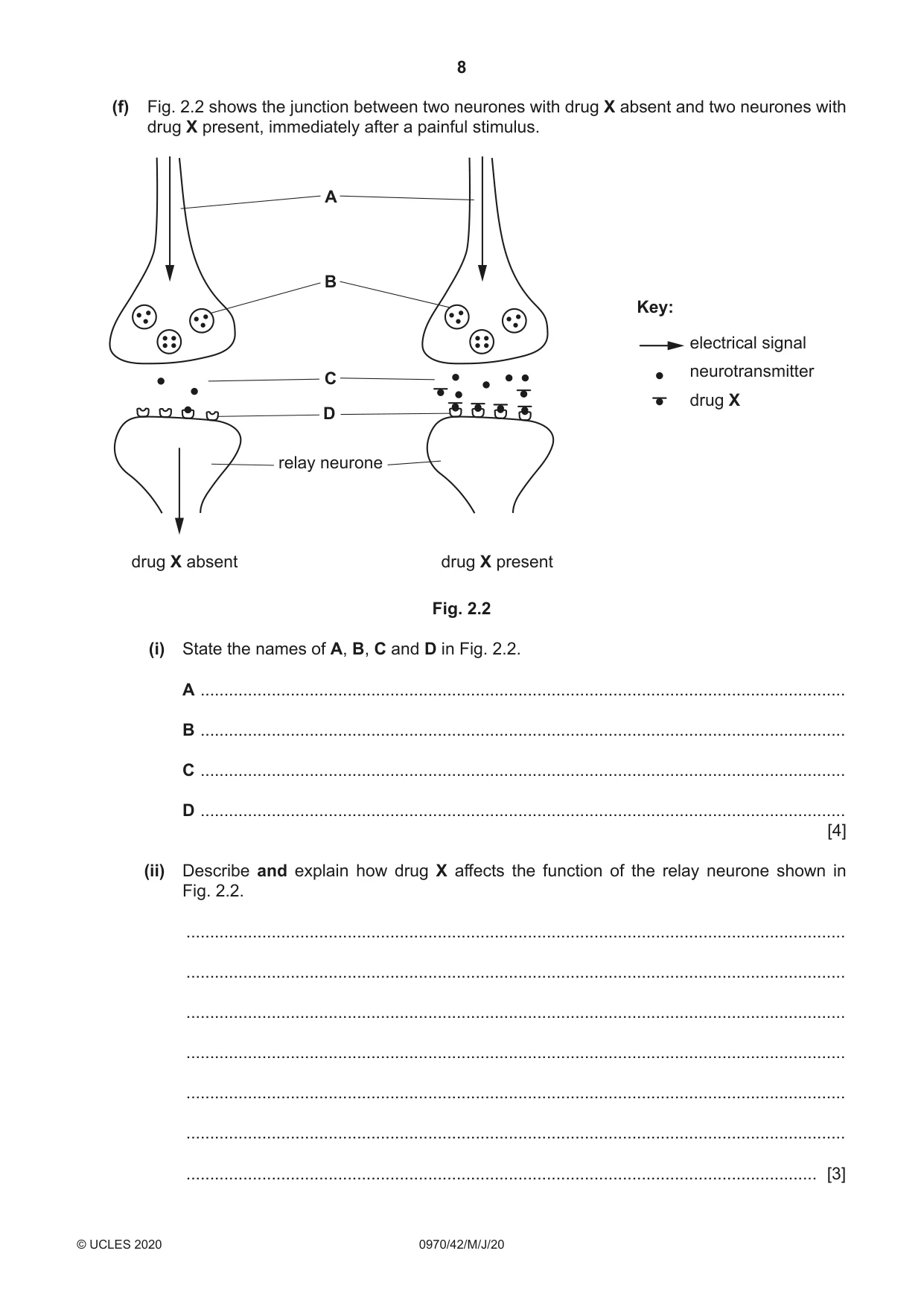 Cambridge IGCSE Biology (9-1) 0970 2020 May/June Paper 4 · Variant 2 question paper, page 8 of 24