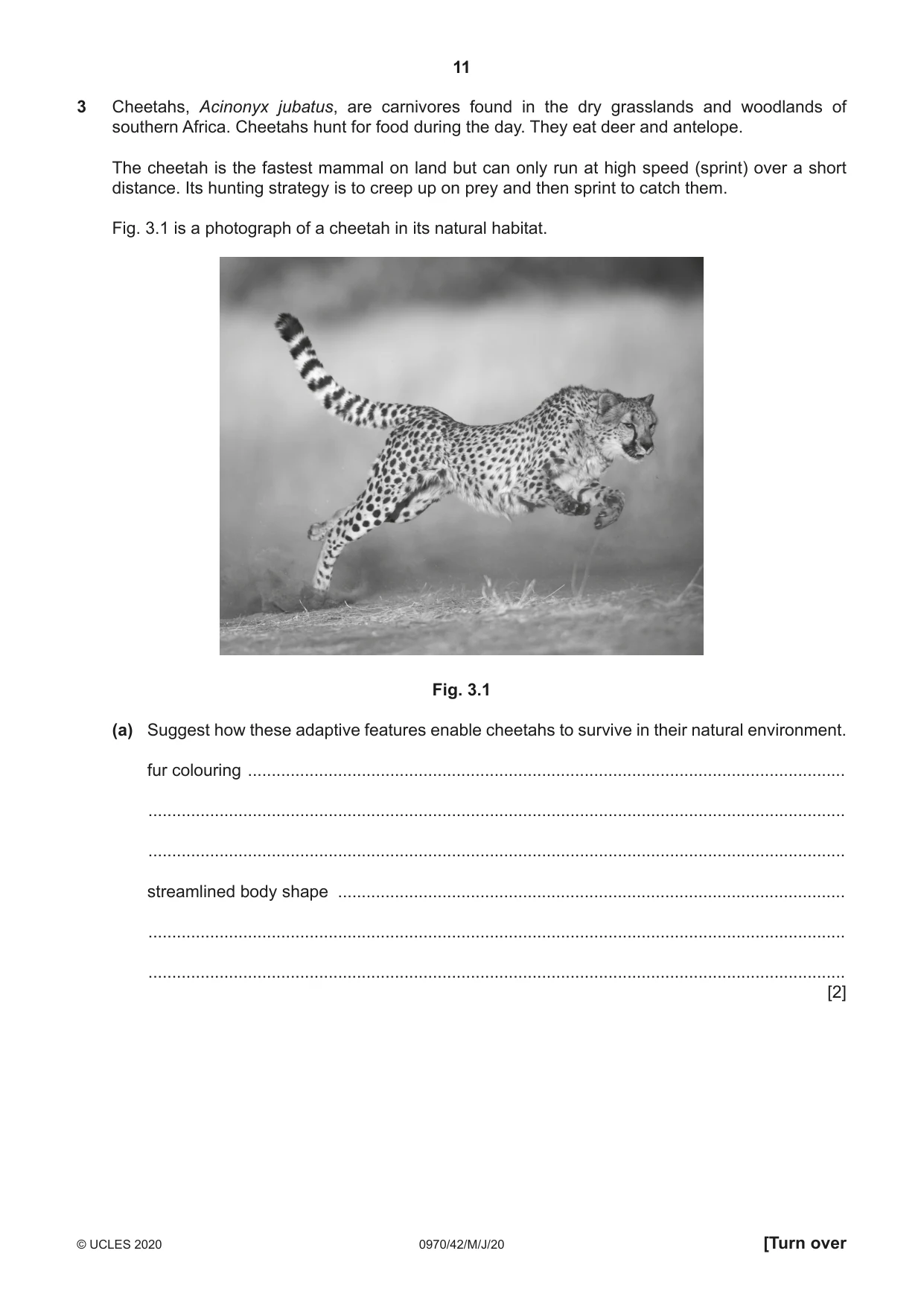 Cambridge IGCSE Biology (9-1) 0970 2020 May/June Paper 4 · Variant 2 question paper, page 11 of 24