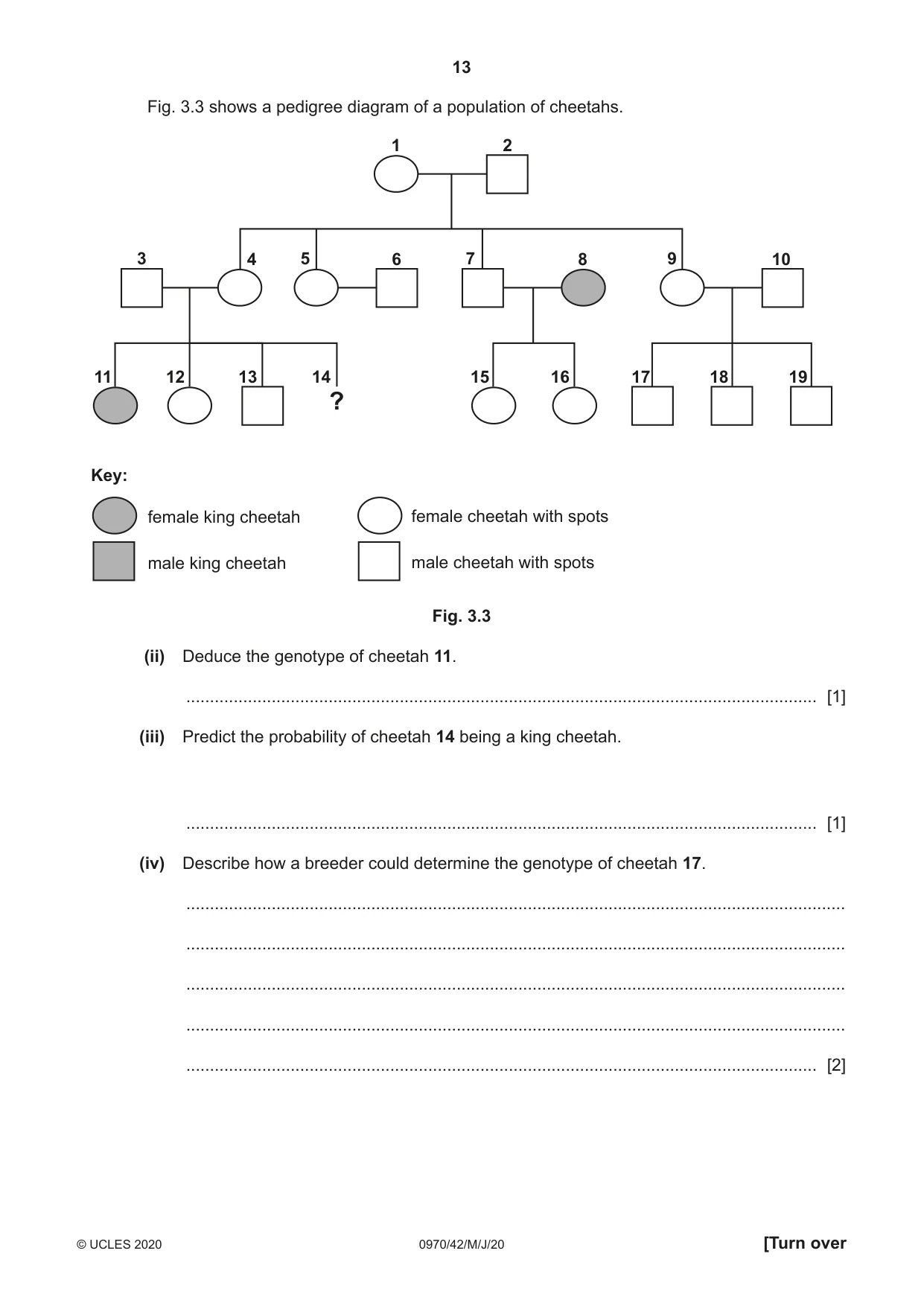 Cambridge IGCSE Biology (9-1) 0970 2020 May/June Paper 4 · Variant 2 question paper, page 13 of 24