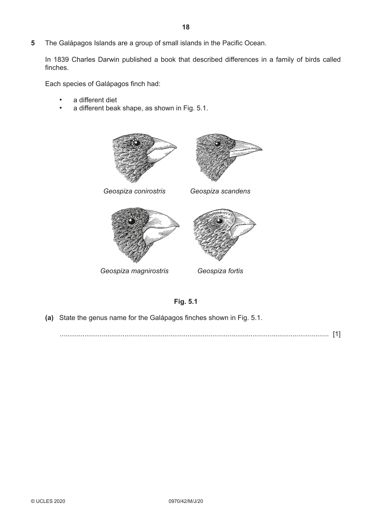 Cambridge IGCSE Biology (9-1) 0970 2020 May/June Paper 4 · Variant 2 question paper, page 18 of 24