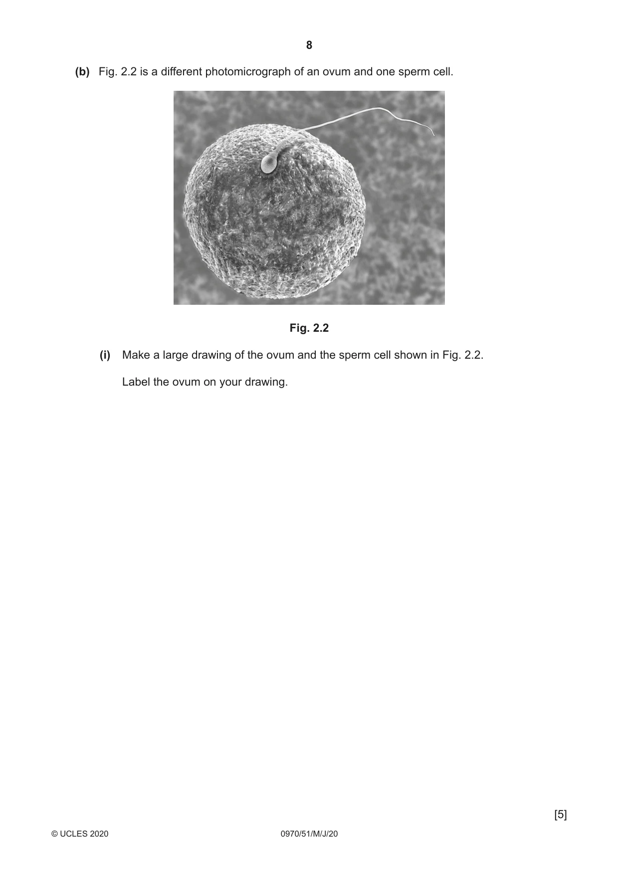 Cambridge IGCSE Biology (9-1) 0970 2020 May/June Paper 5 · Variant 1 question paper, page 8 of 12