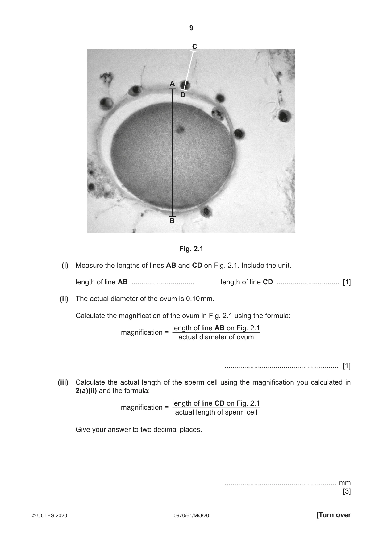Cambridge IGCSE Biology (9-1) 0970 2020 May/June Paper 6 · Variant 1 question paper, page 9 of 12