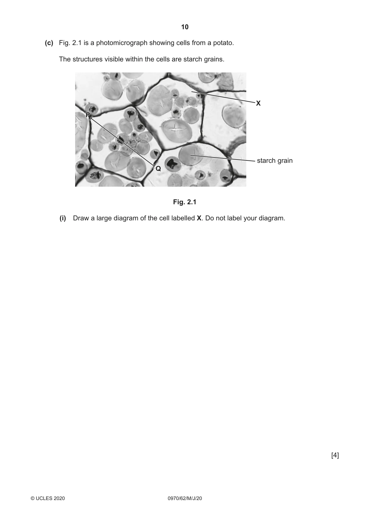 Cambridge IGCSE Biology (9-1) 0970 2020 May/June Paper 6 · Variant 2 question paper, page 10 of 12