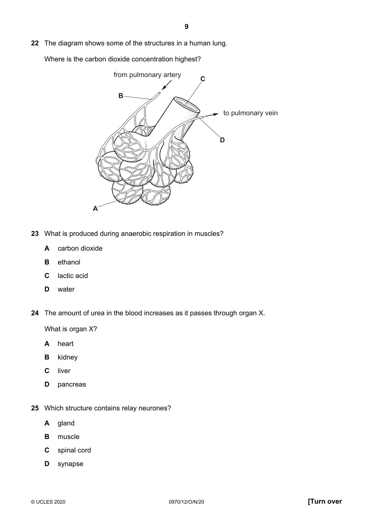 Cambridge IGCSE Biology (9-1) 0970 2020 Oct/Nov Paper 1 · Variant 2 question paper, page 9 of 16
