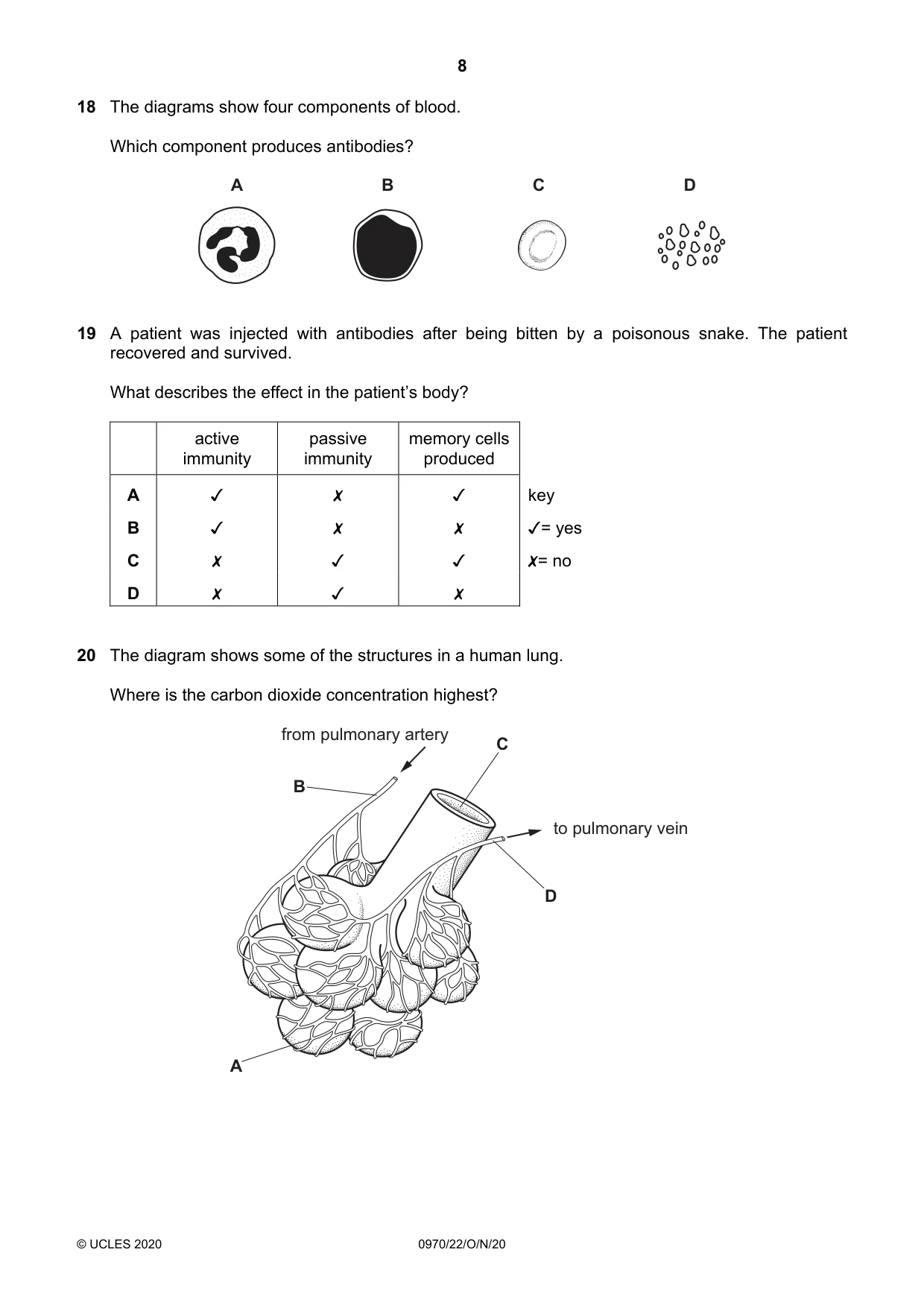 Cambridge IGCSE Biology (9-1) 0970 2020 Oct/Nov Paper 2 · Variant 2 question paper, page 8 of 16