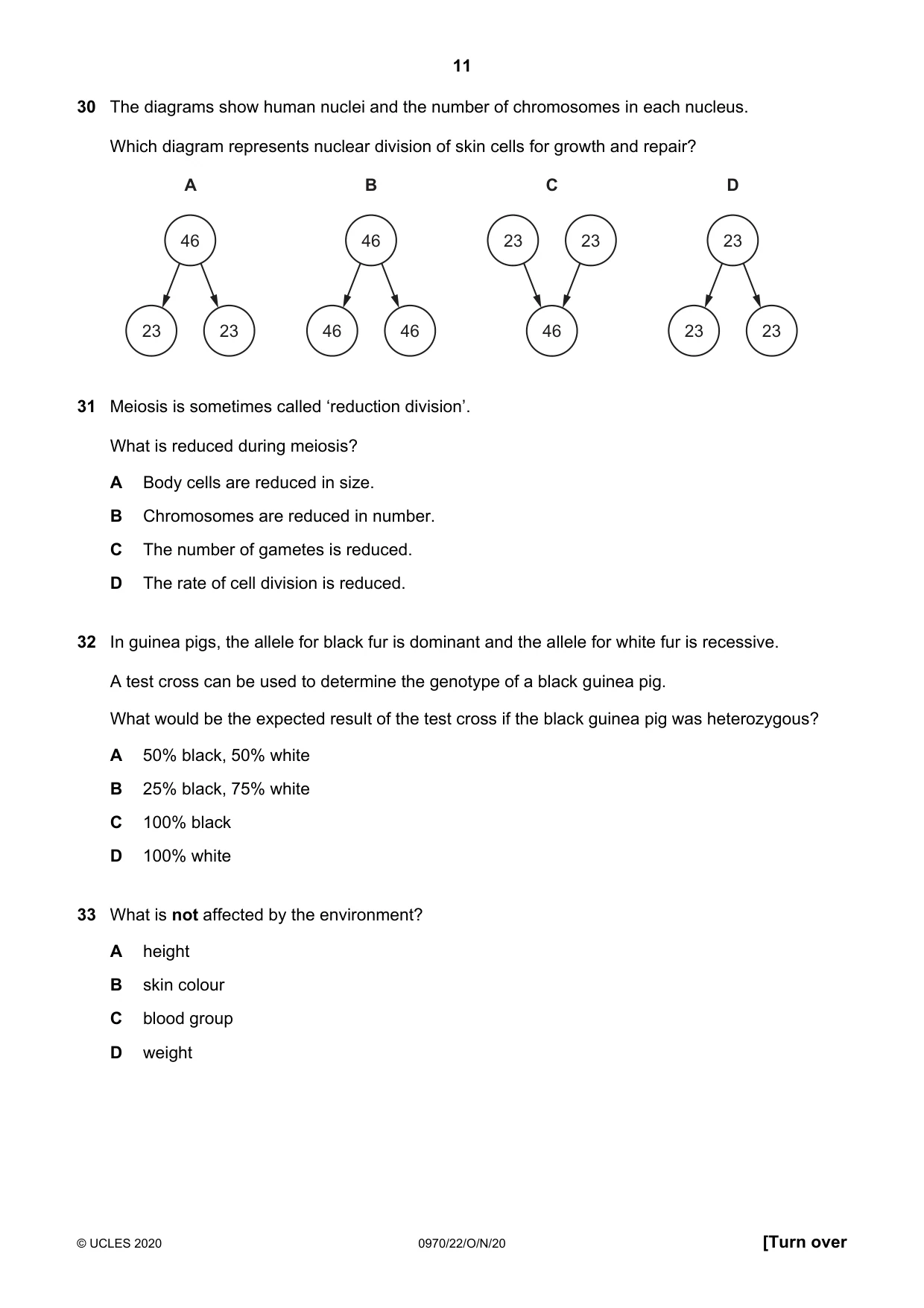 Cambridge IGCSE Biology (9-1) 0970 2020 Oct/Nov Paper 2 · Variant 2 question paper, page 11 of 16