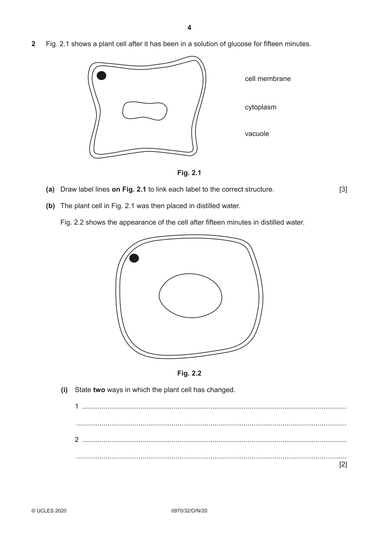 Cambridge IGCSE Biology (9-1) 0970 2020 Oct/Nov Paper 3 · Variant 2 question paper, page 4 of 20
