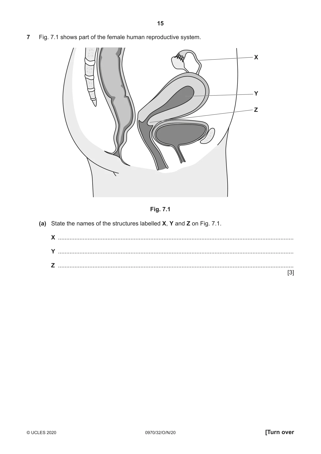 Cambridge IGCSE Biology (9-1) 0970 2020 Oct/Nov Paper 3 · Variant 2 question paper, page 15 of 20