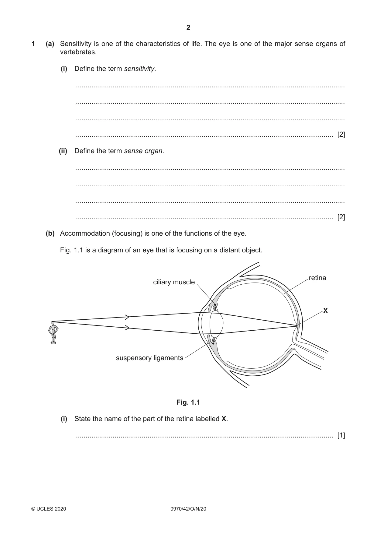 Cambridge IGCSE Biology (9-1) 0970 2020 Oct/Nov Paper 4 · Variant 2 question paper, page 2 of 20