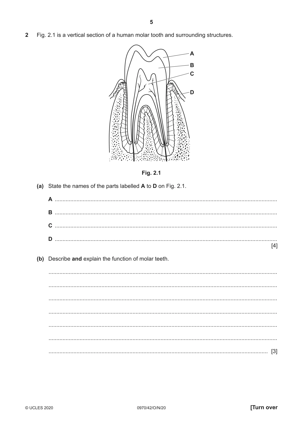 Cambridge IGCSE Biology (9-1) 0970 2020 Oct/Nov Paper 4 · Variant 2 question paper, page 5 of 20