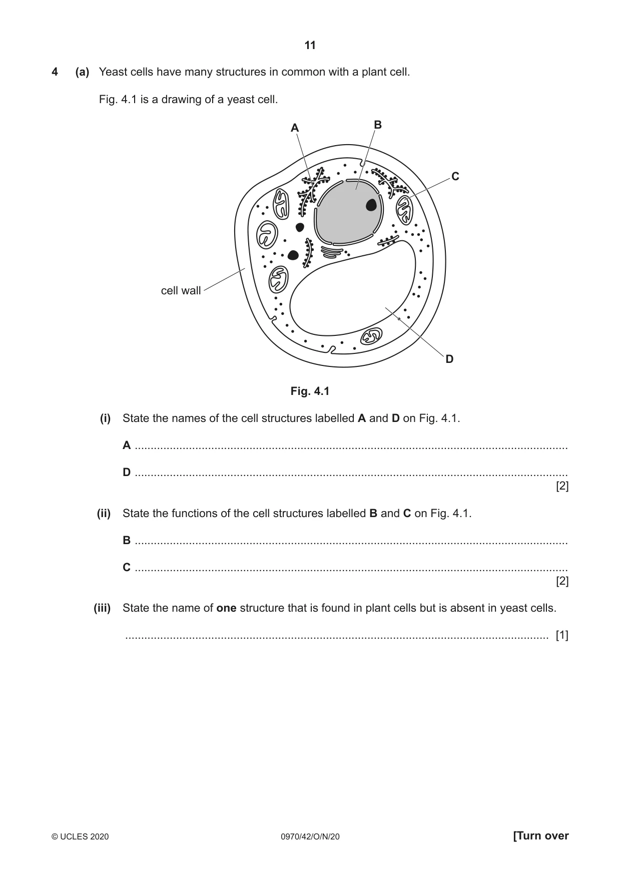 Cambridge IGCSE Biology (9-1) 0970 2020 Oct/Nov Paper 4 · Variant 2 question paper, page 11 of 20