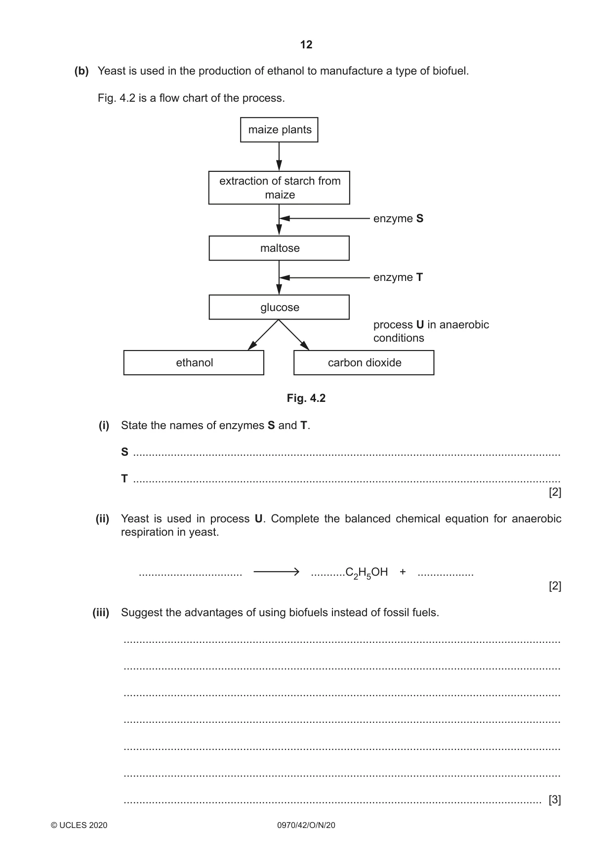 Cambridge IGCSE Biology (9-1) 0970 2020 Oct/Nov Paper 4 · Variant 2 question paper, page 12 of 20
